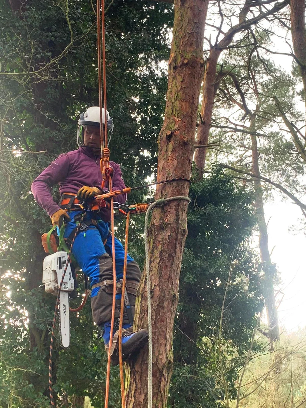 Gallery — Cartwright Landscapes