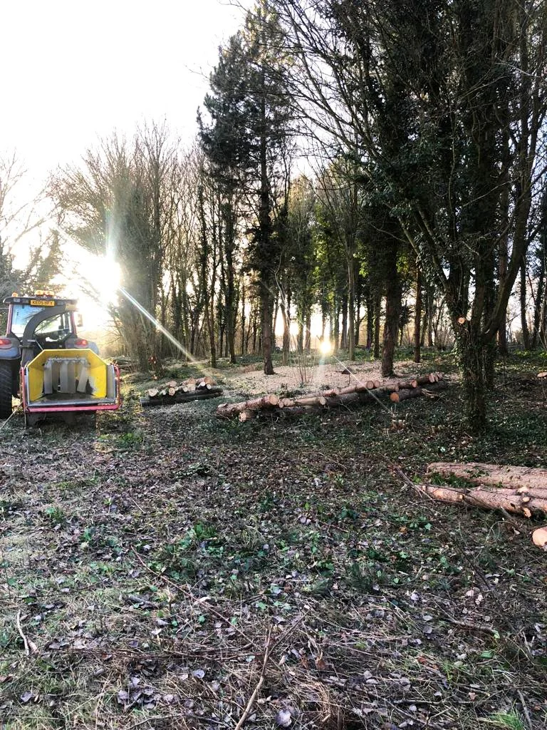 Gallery — Cartwright Landscapes