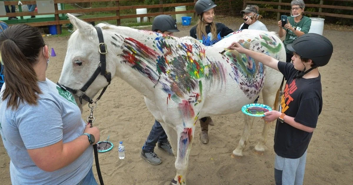 Nature therapy and Therapeuctic horse riding for kids