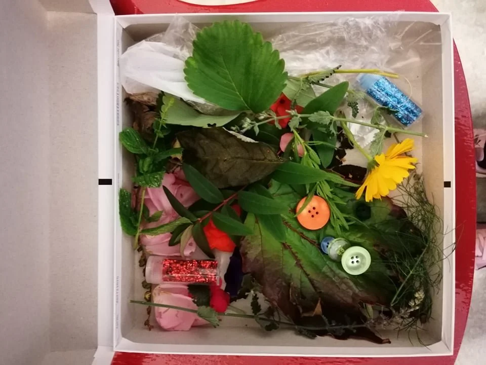 AUGUST SUNDAY  Art & Nature school