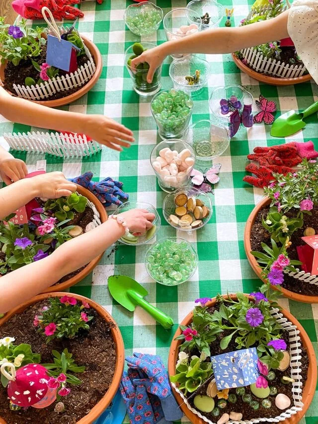 Fairy gardens.jpg