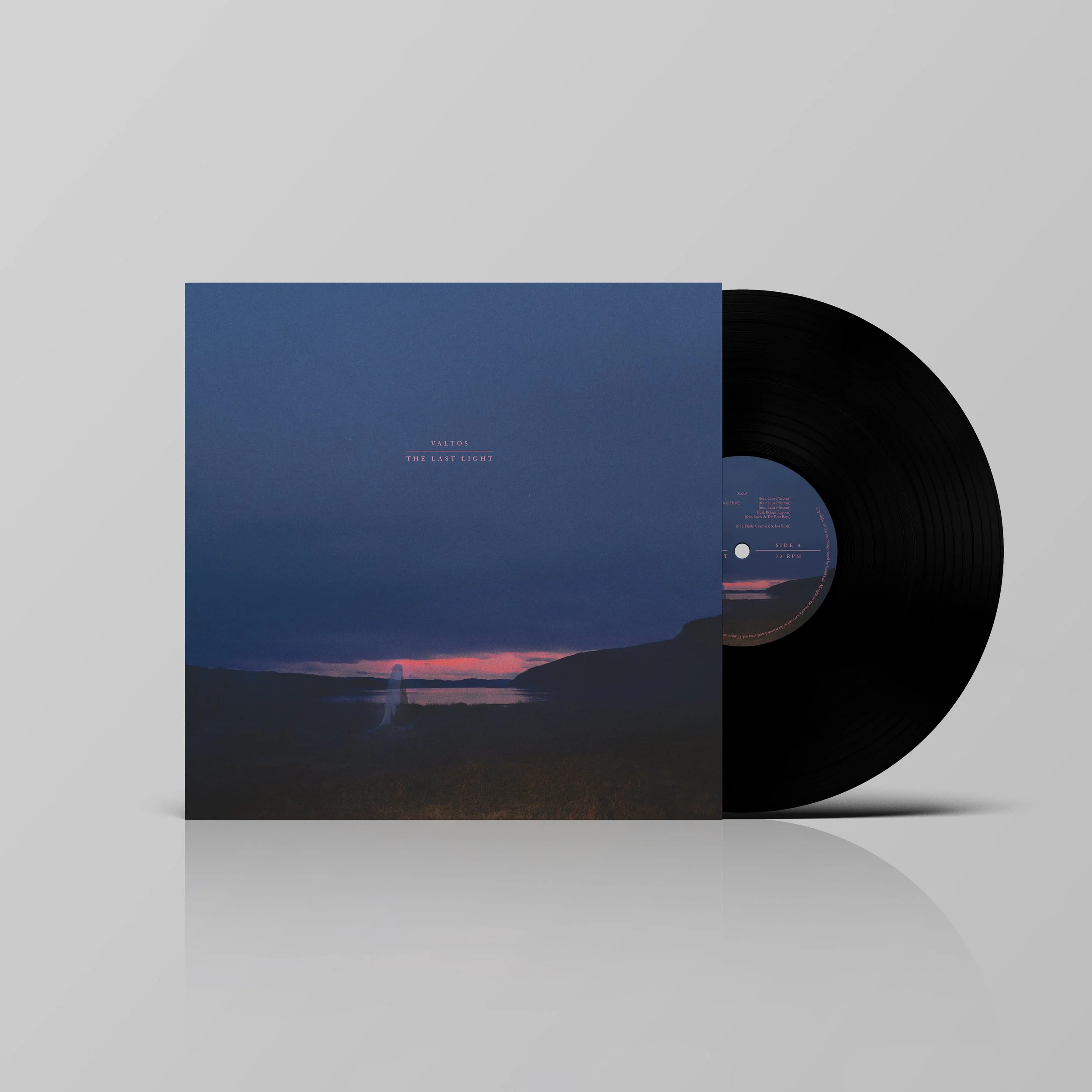 The Last Light (12" Vinyl) PRE-ORDER (25 May)