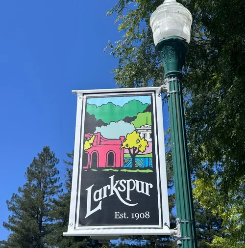 Larkspur