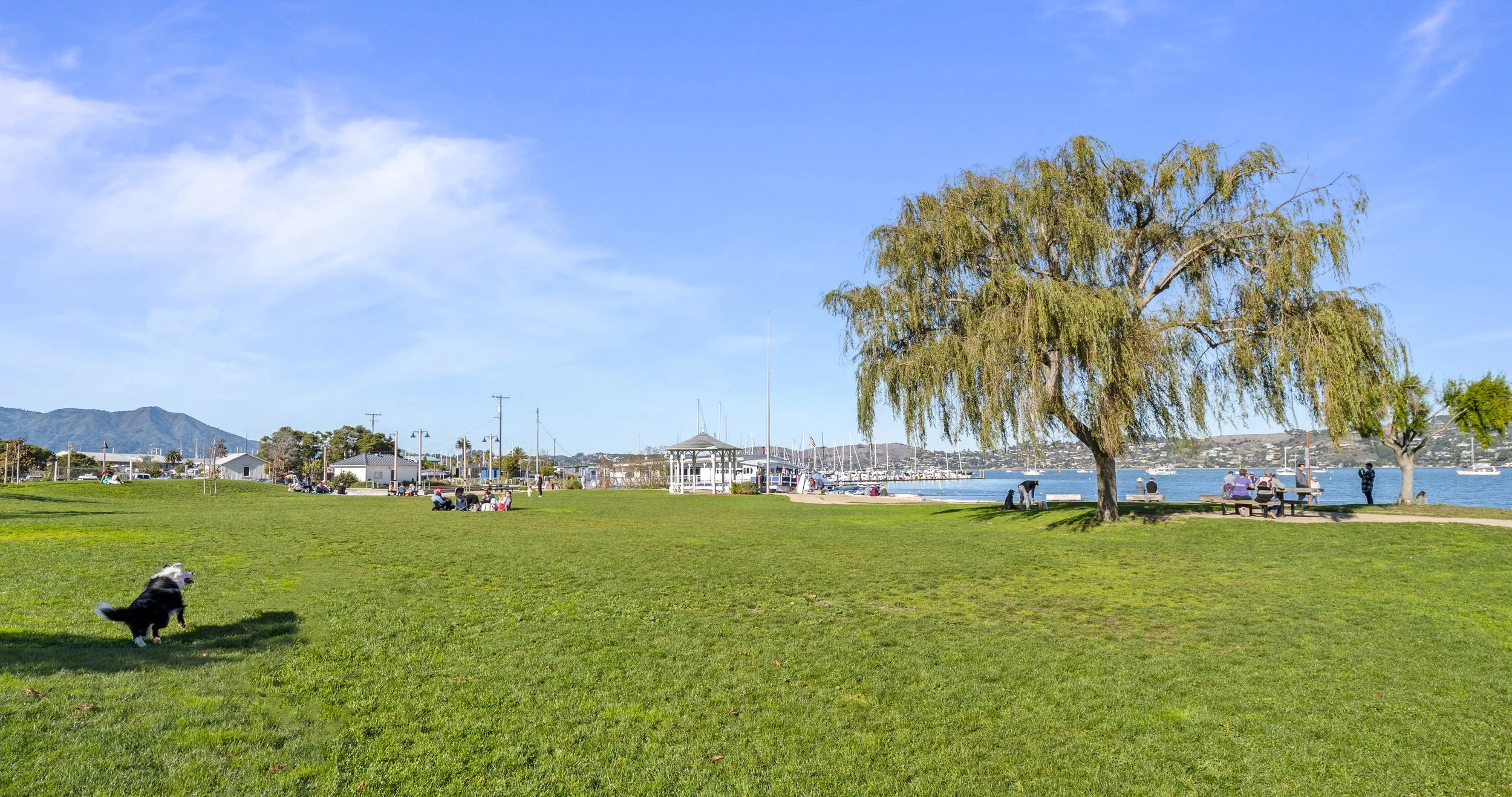Sausalito scenery