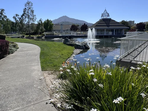Greenbrae
