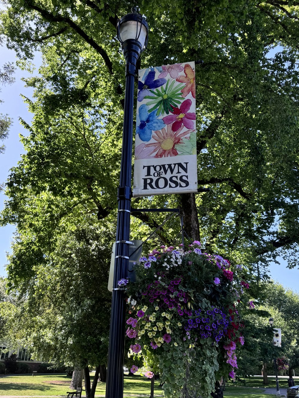 Ross