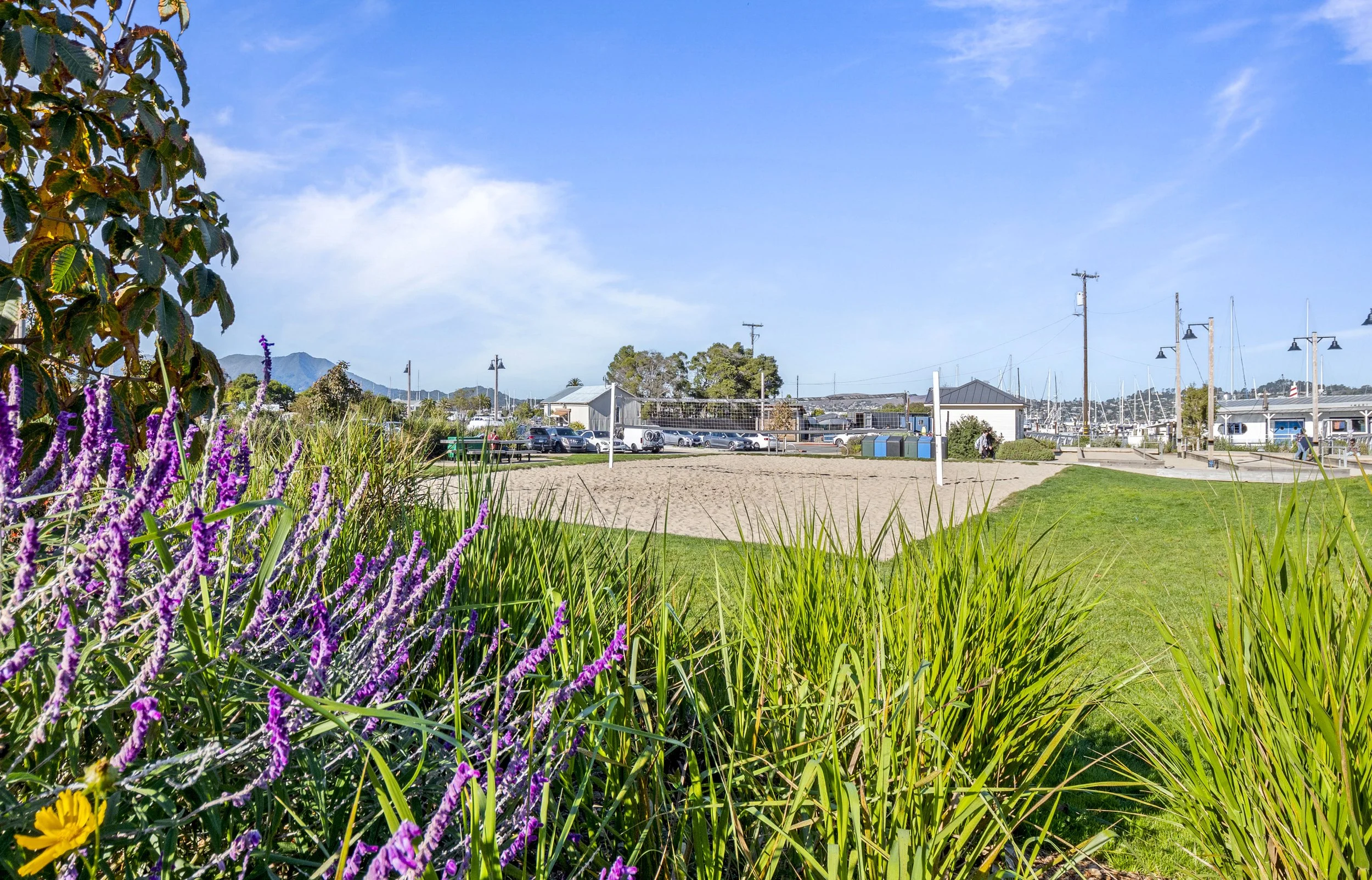 Sausalito scenery
