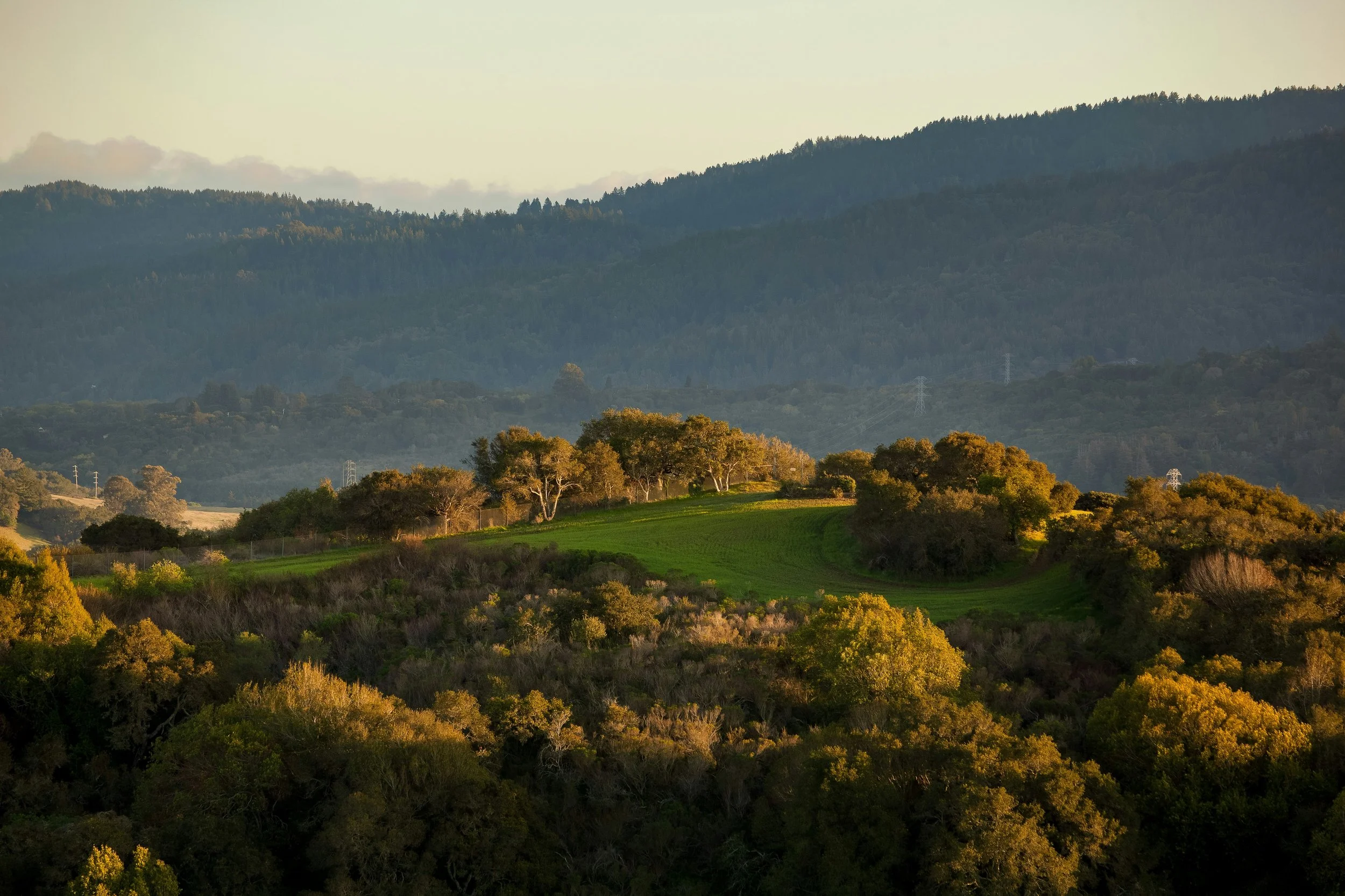 San Anselmo