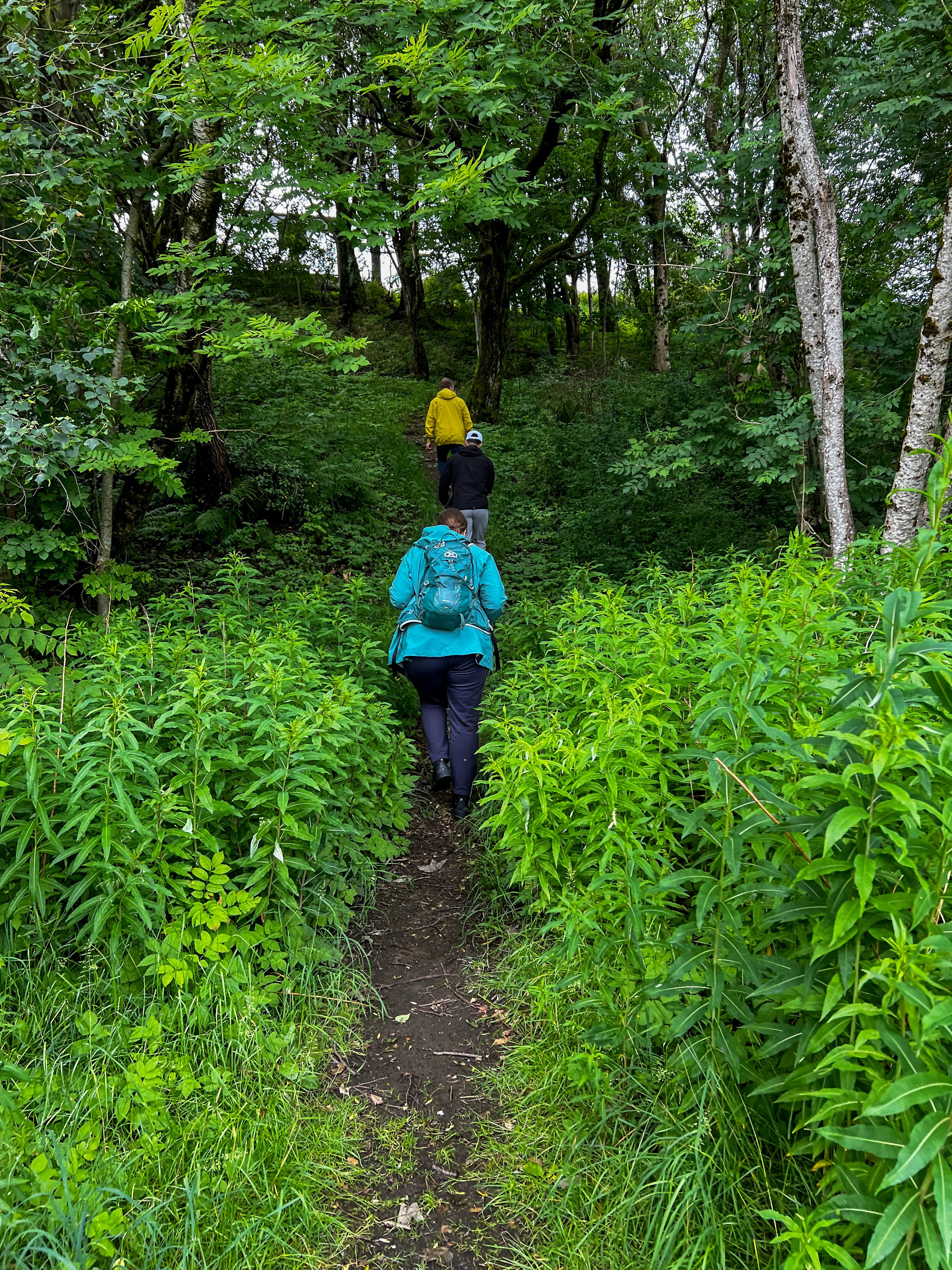 Innbyggernes stemmer om blågrønne strukturer i Sandnes