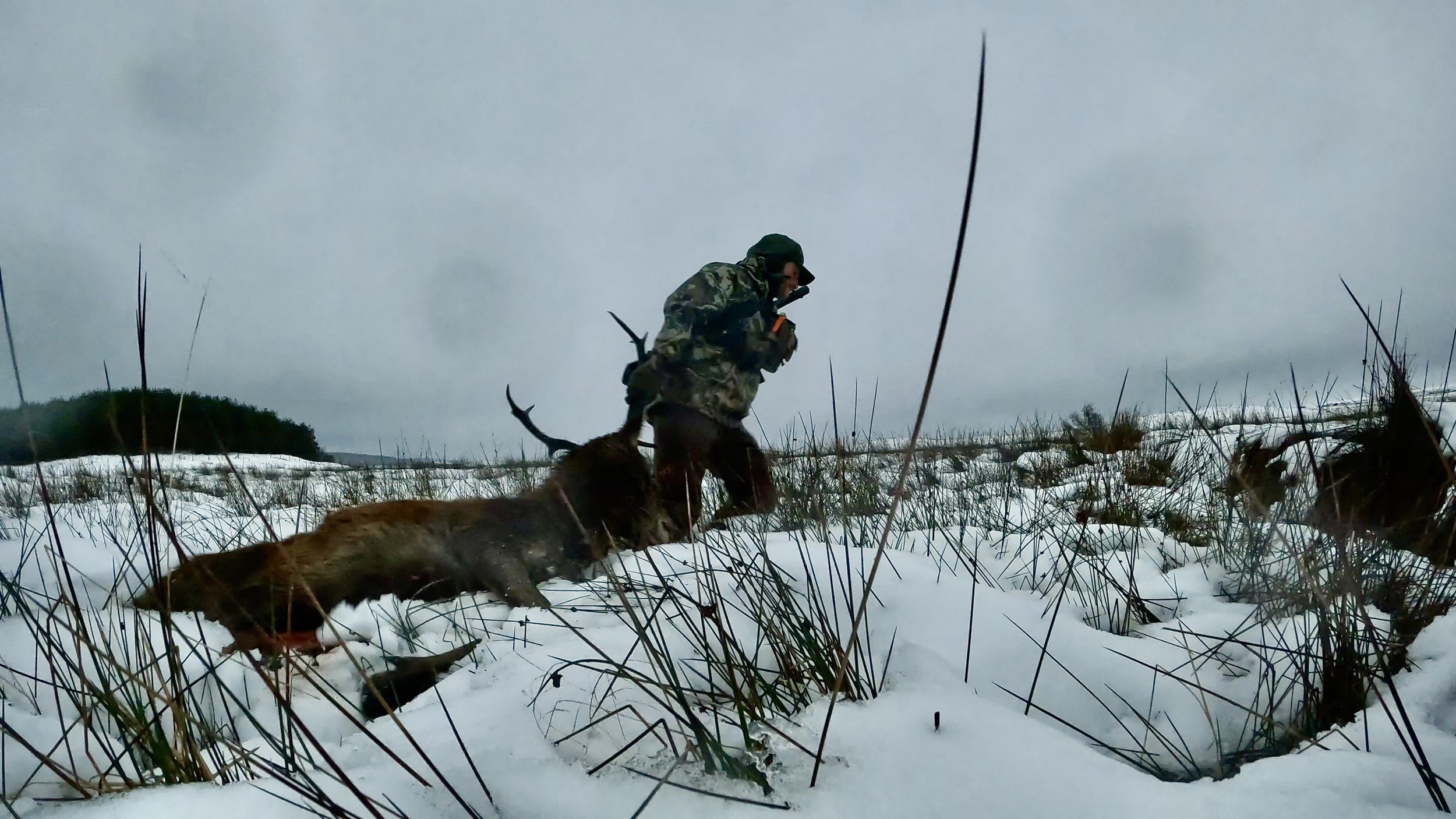 GPTempDownload 47.jpg