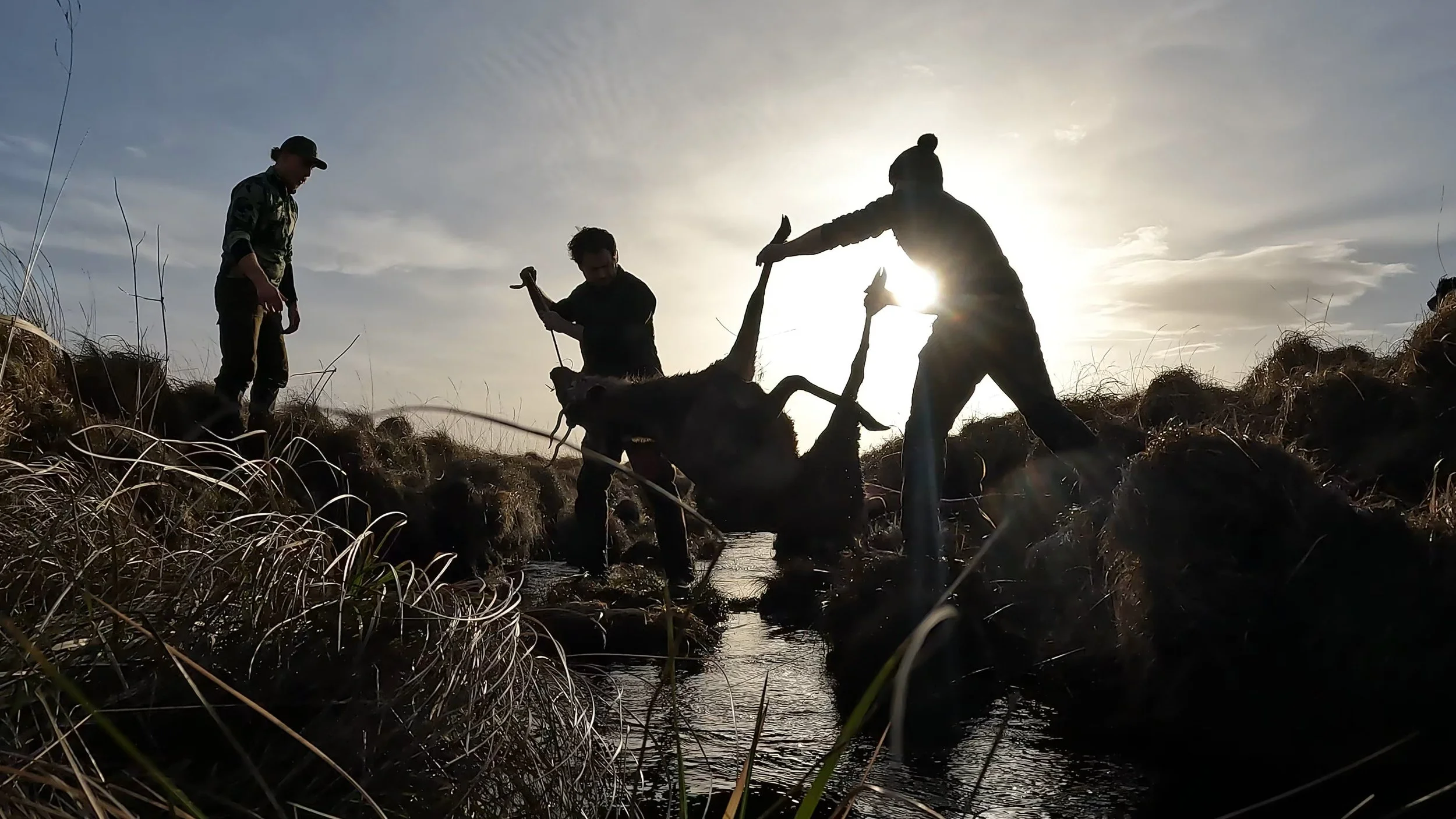 GPTempDownload 49.JPG