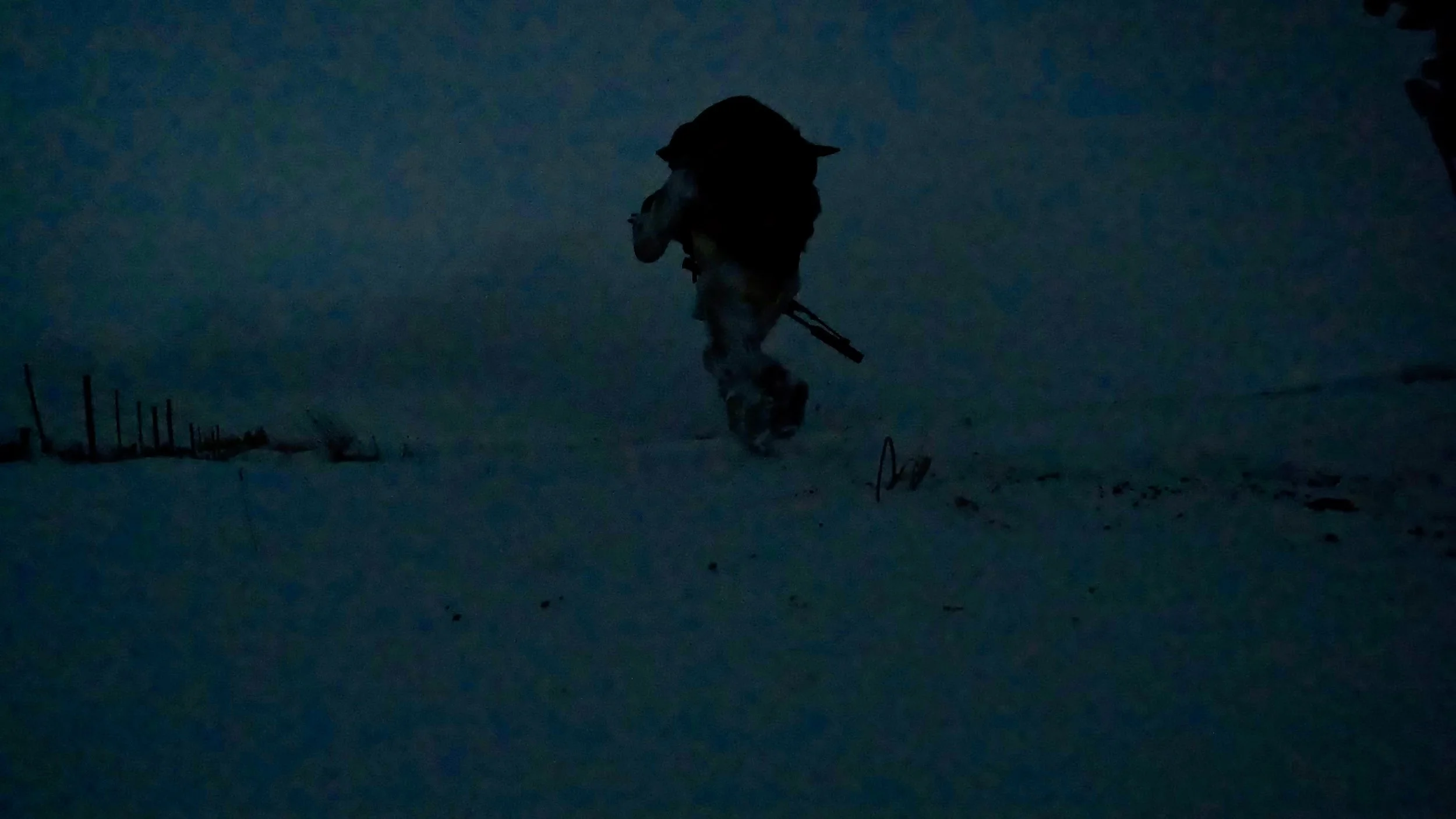 GPTempDownload 44.jpg