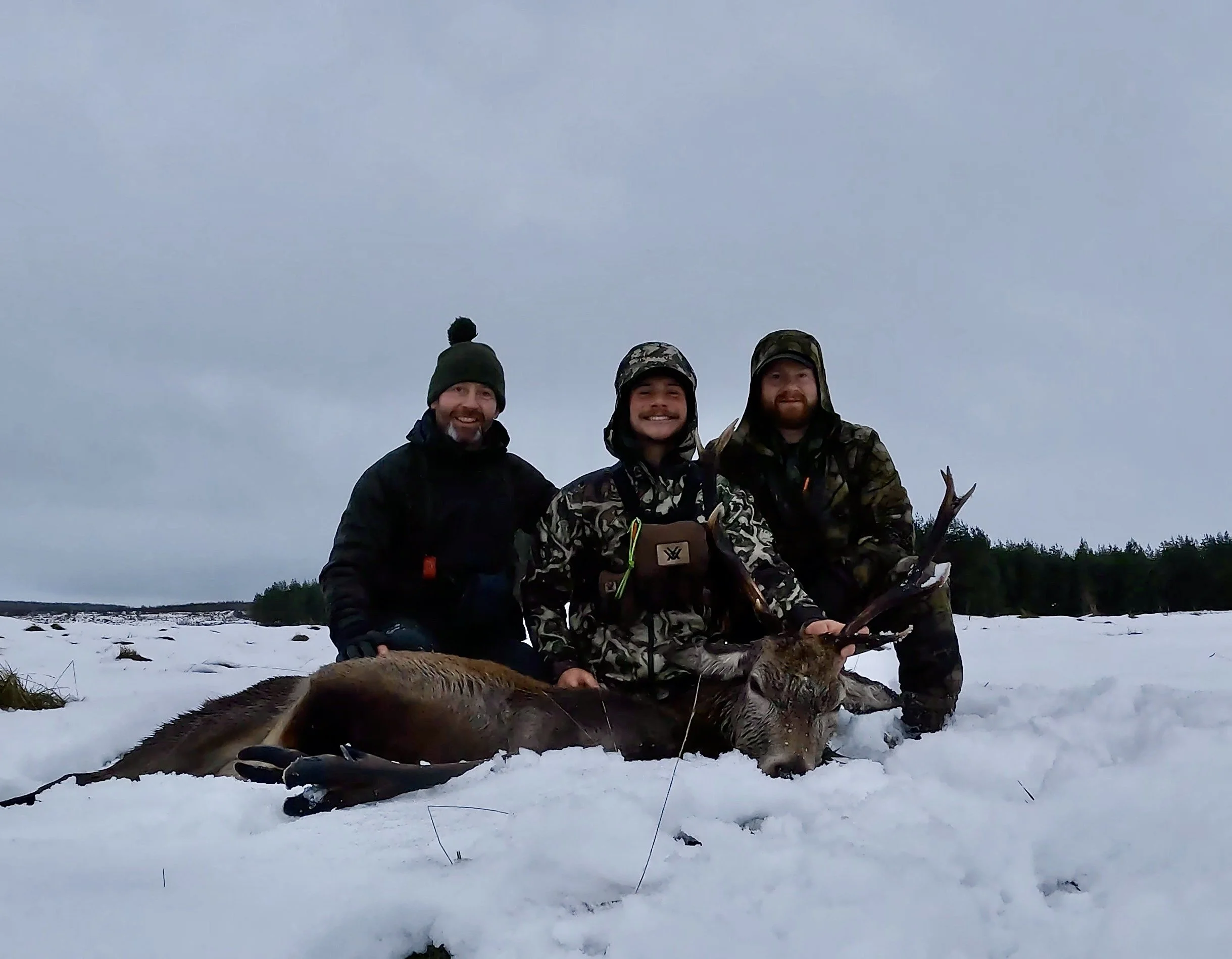 GPTempDownload 46.jpg