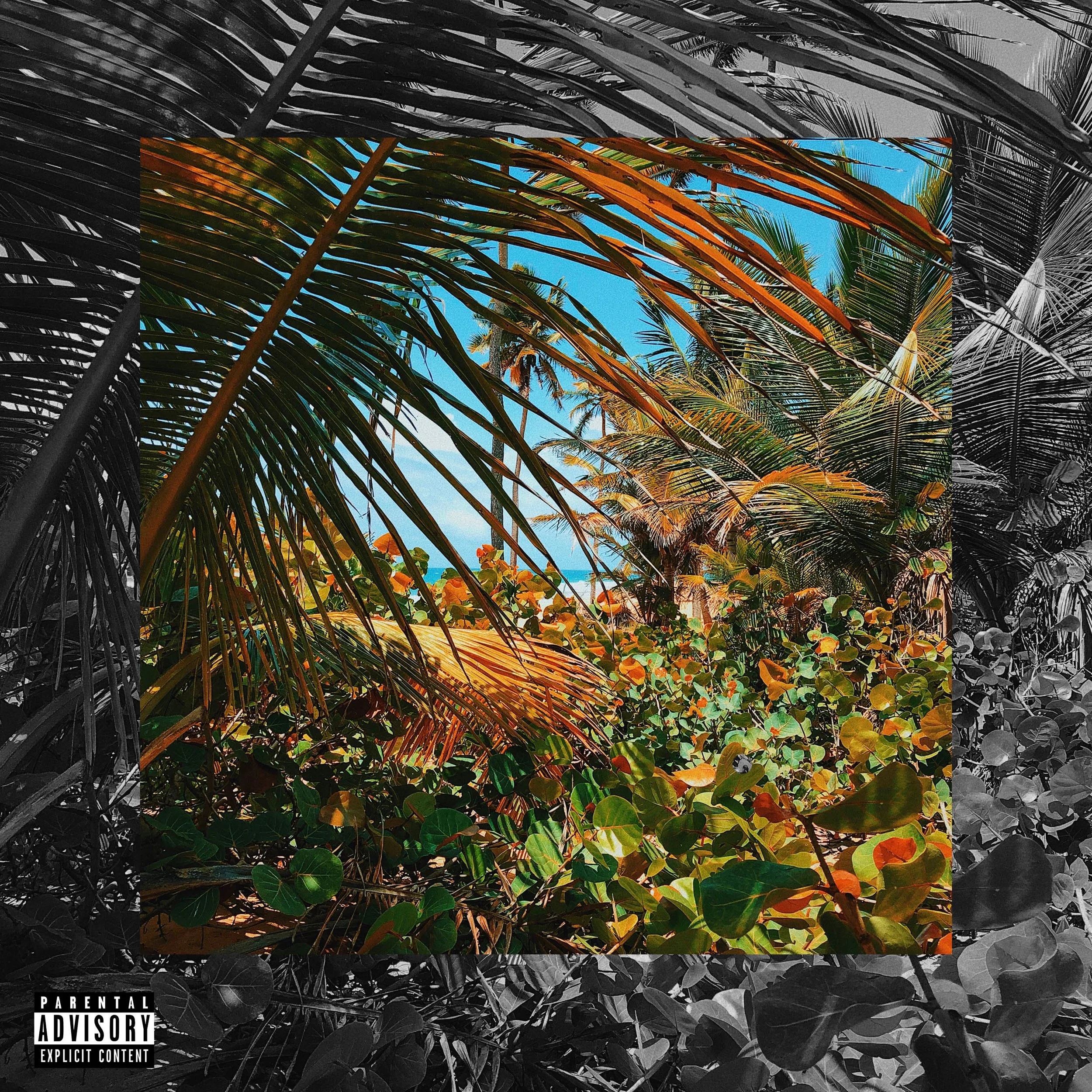 FullSizeRender (1) copy.jpeg