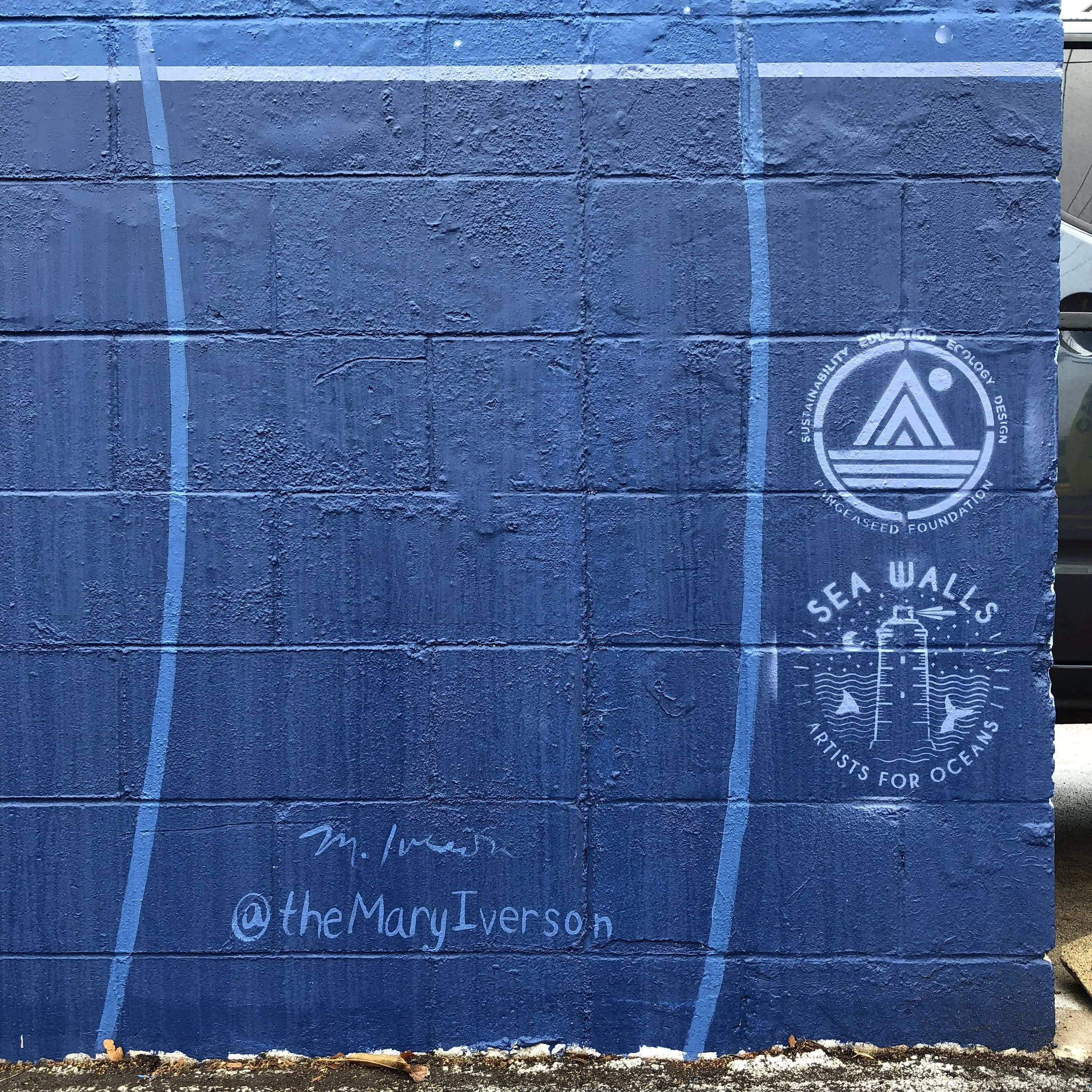 Mary Iverson Seattle Artist Paintings and Murals Sea Walls Maui.jpeg