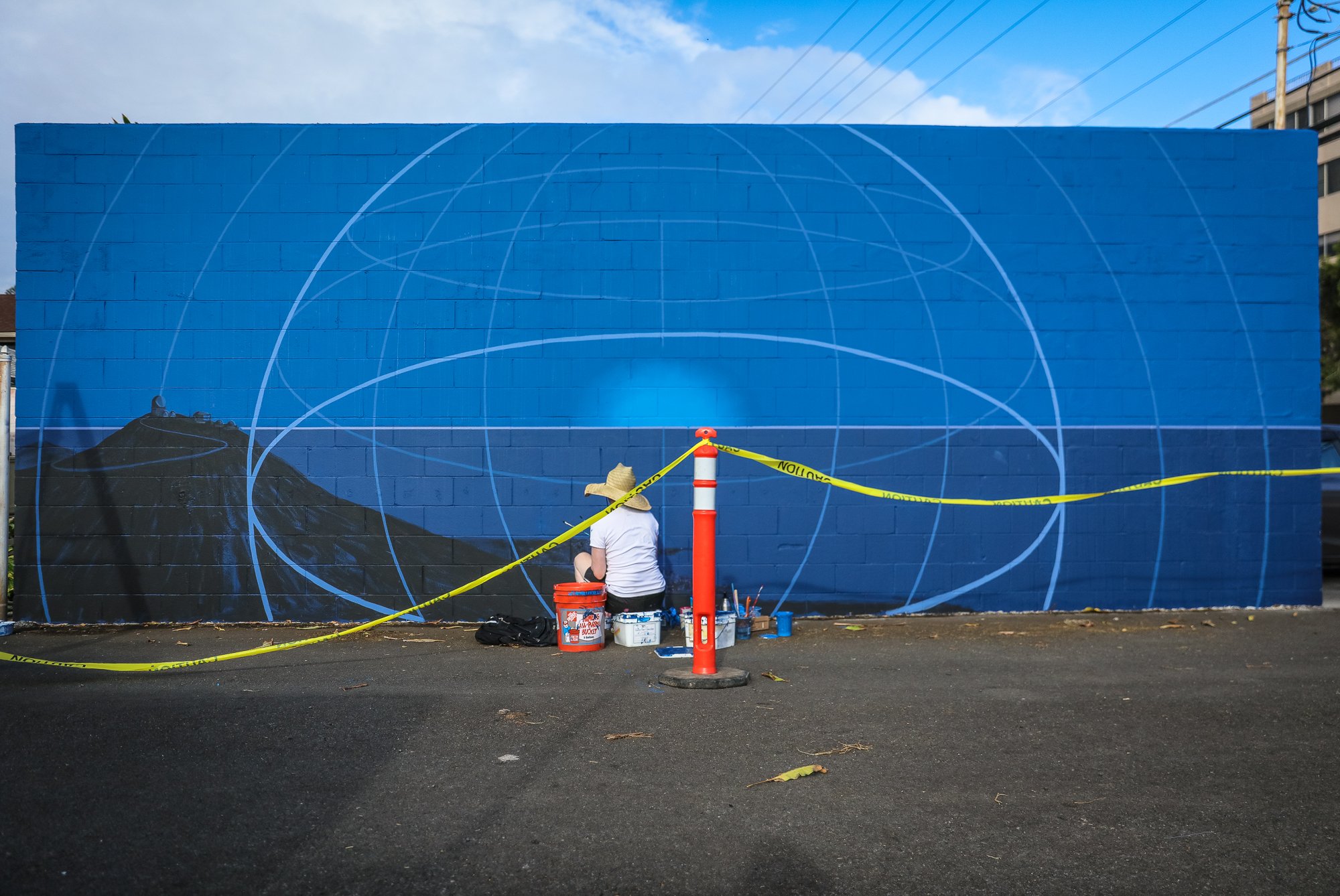 Mary Iverson Seattle Artist Paintings and Murals Sea Walls Maui.jpeg