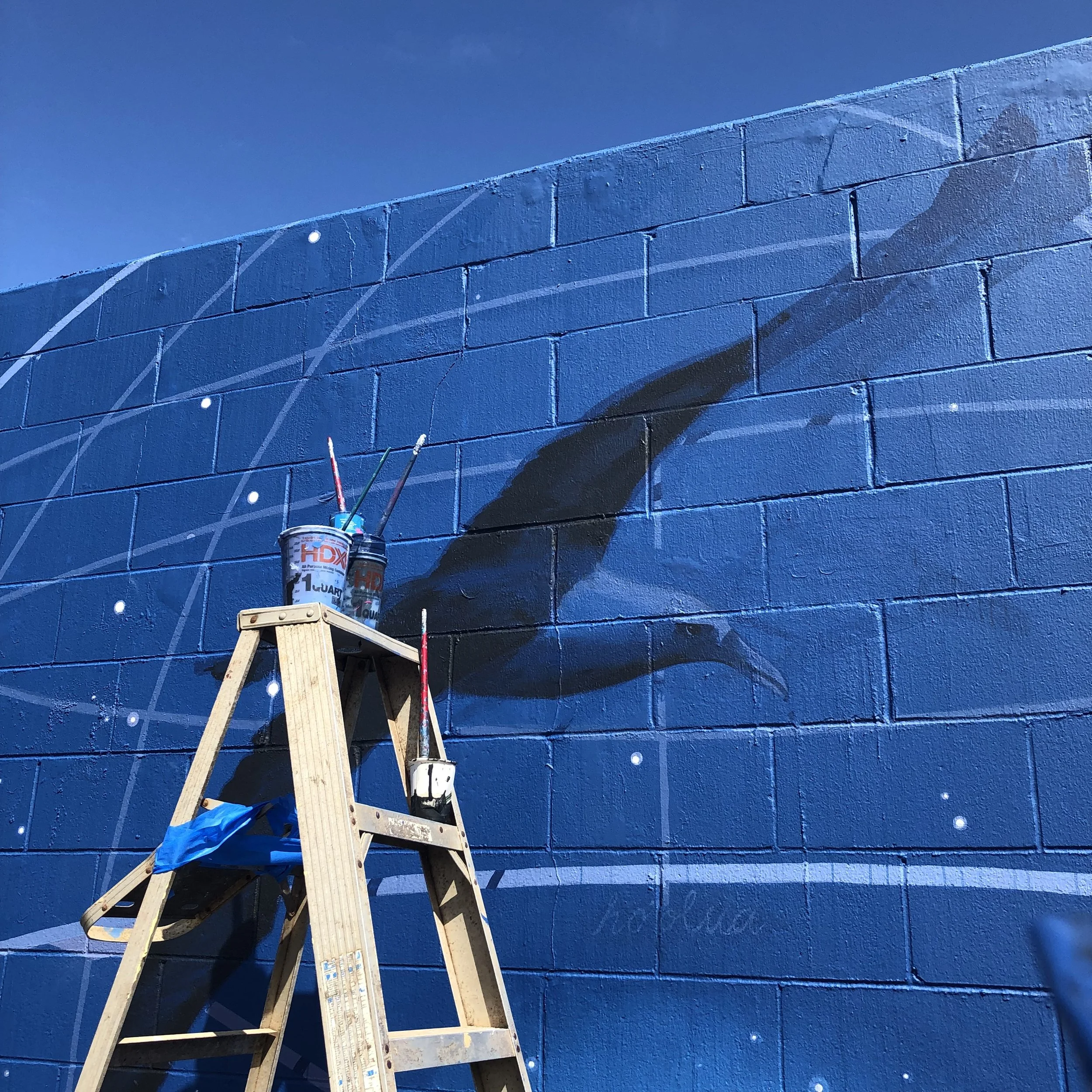 Mary Iverson Seattle Artist Paintings and Murals Sea Walls Maui.jpeg