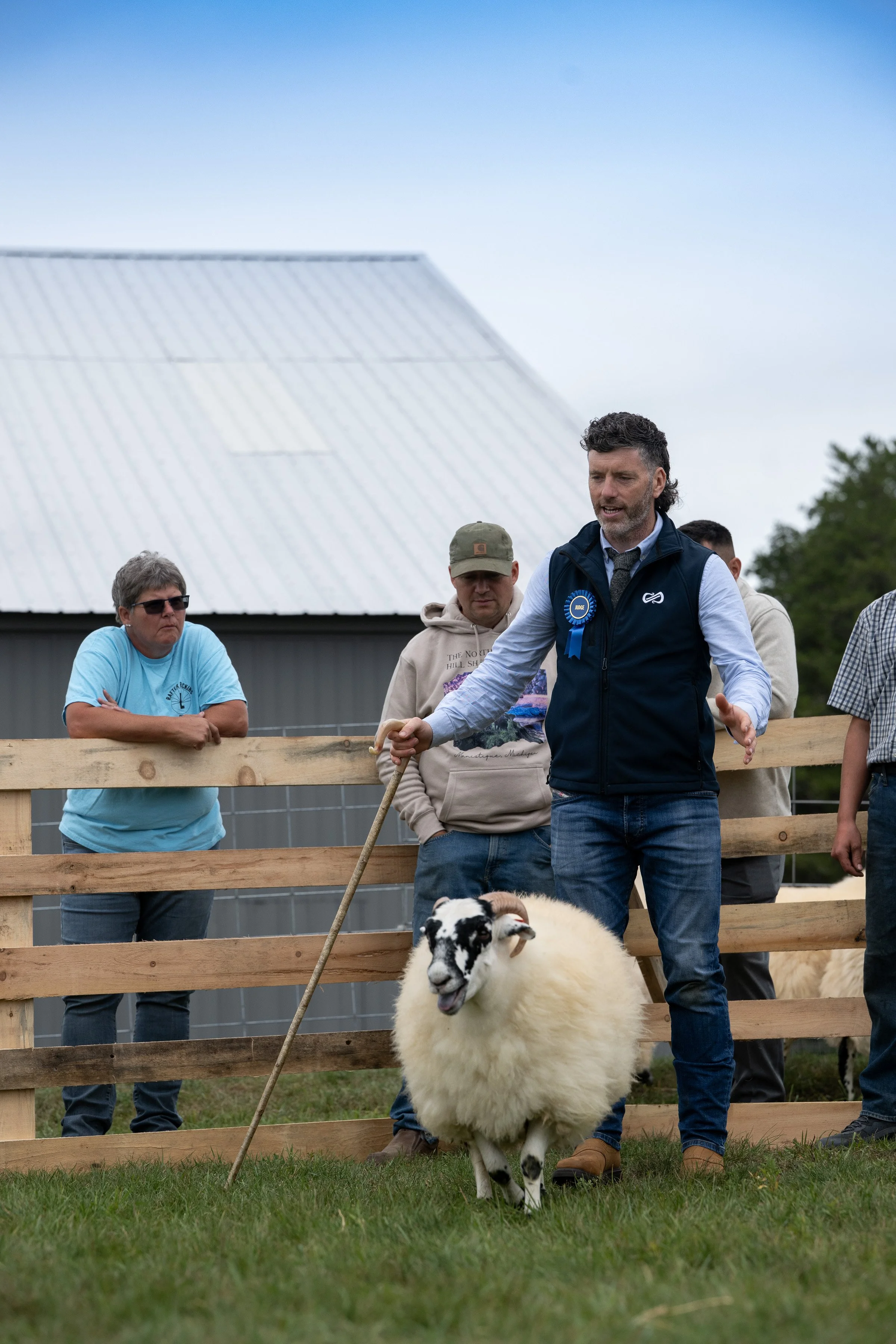 Ally judging Laird SBF Ewe Lamb HUT_9479.JPG