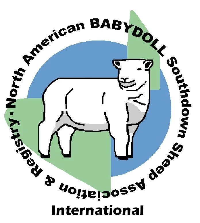 nabssarlogo color with bg.jpg