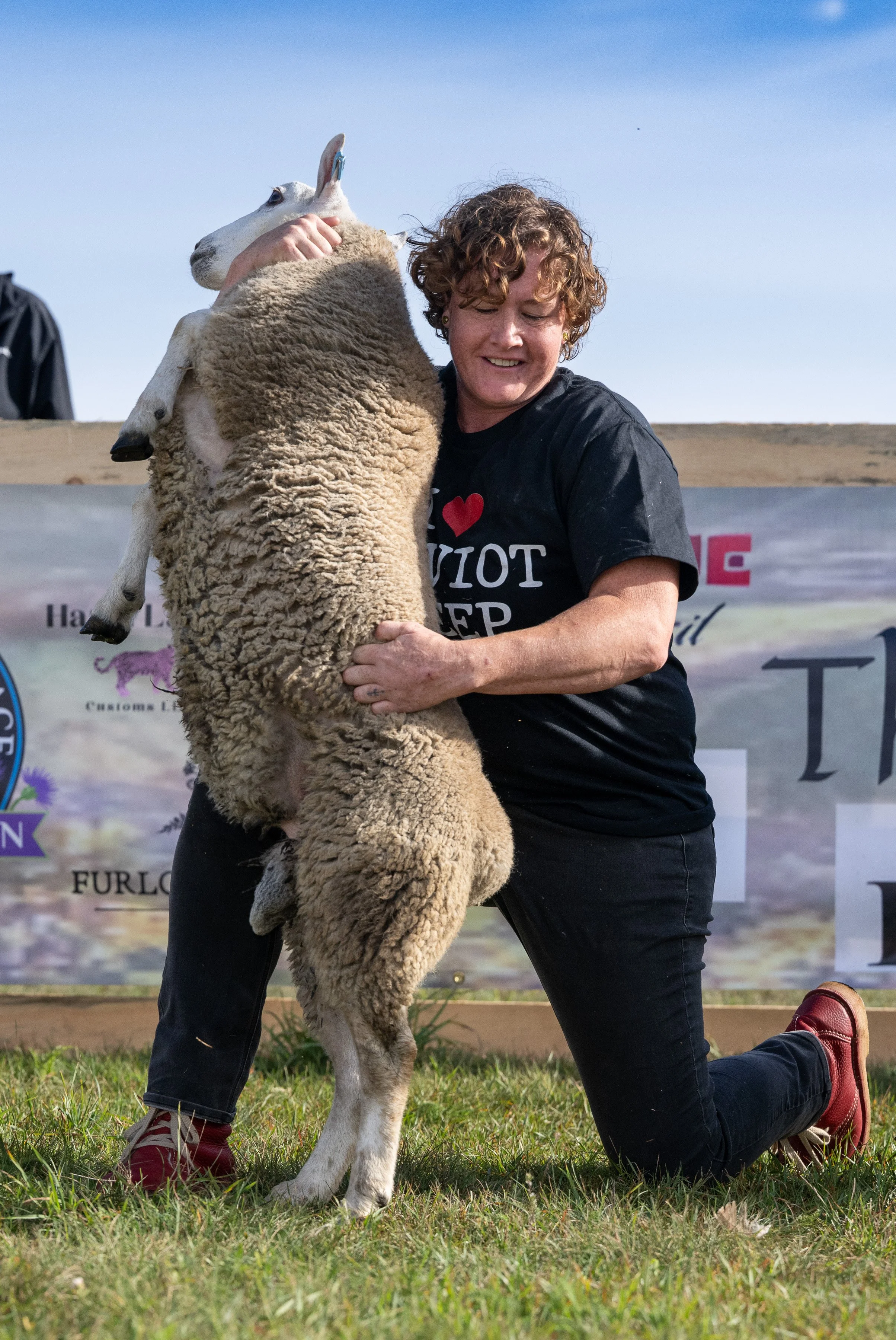 EC holding jumping Border cheviot ram HUT_9047.JPG