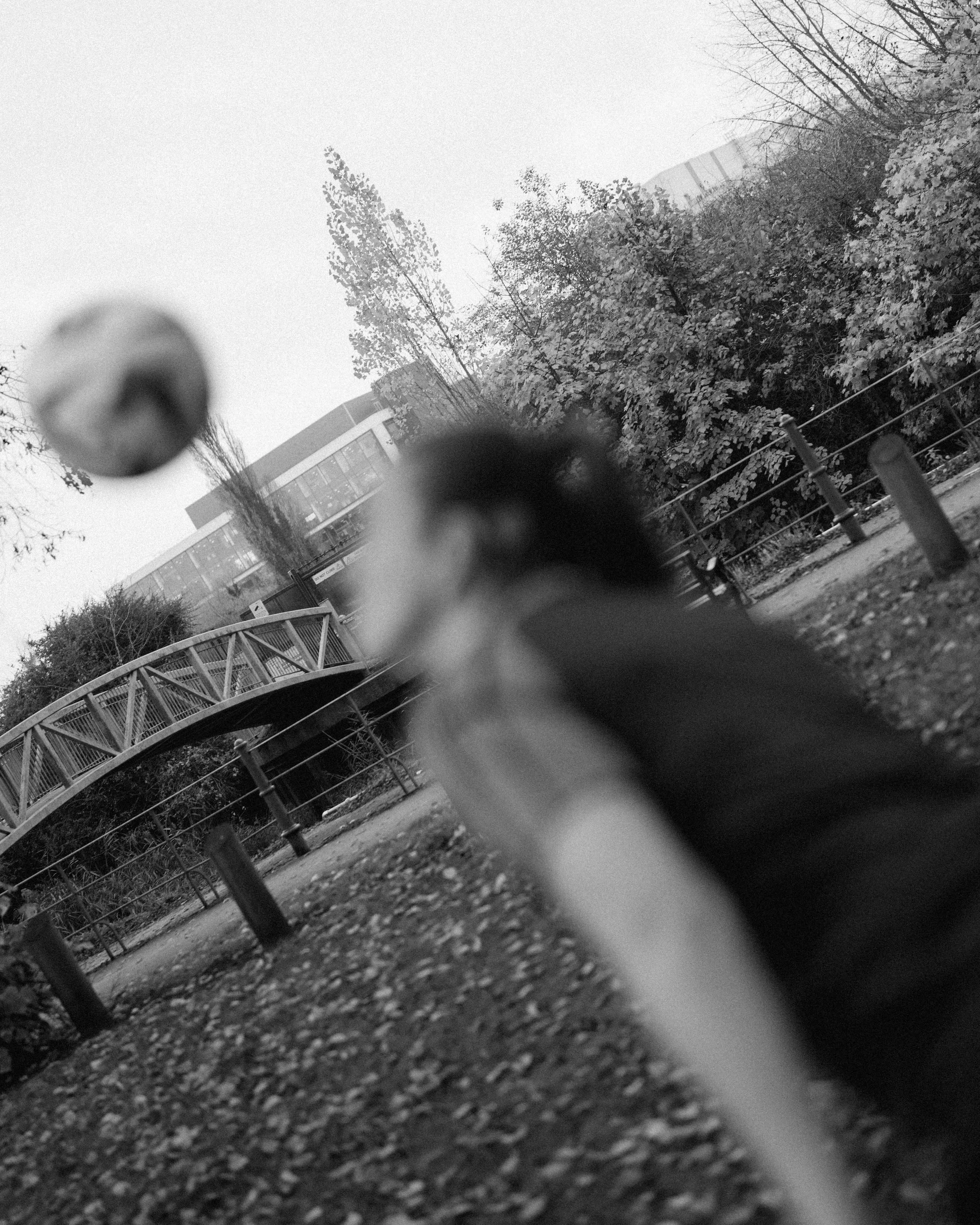 A black and white photo of a dog in a park, with a frisbee flying in the air. There is a bridge, trees, and a building in the background.