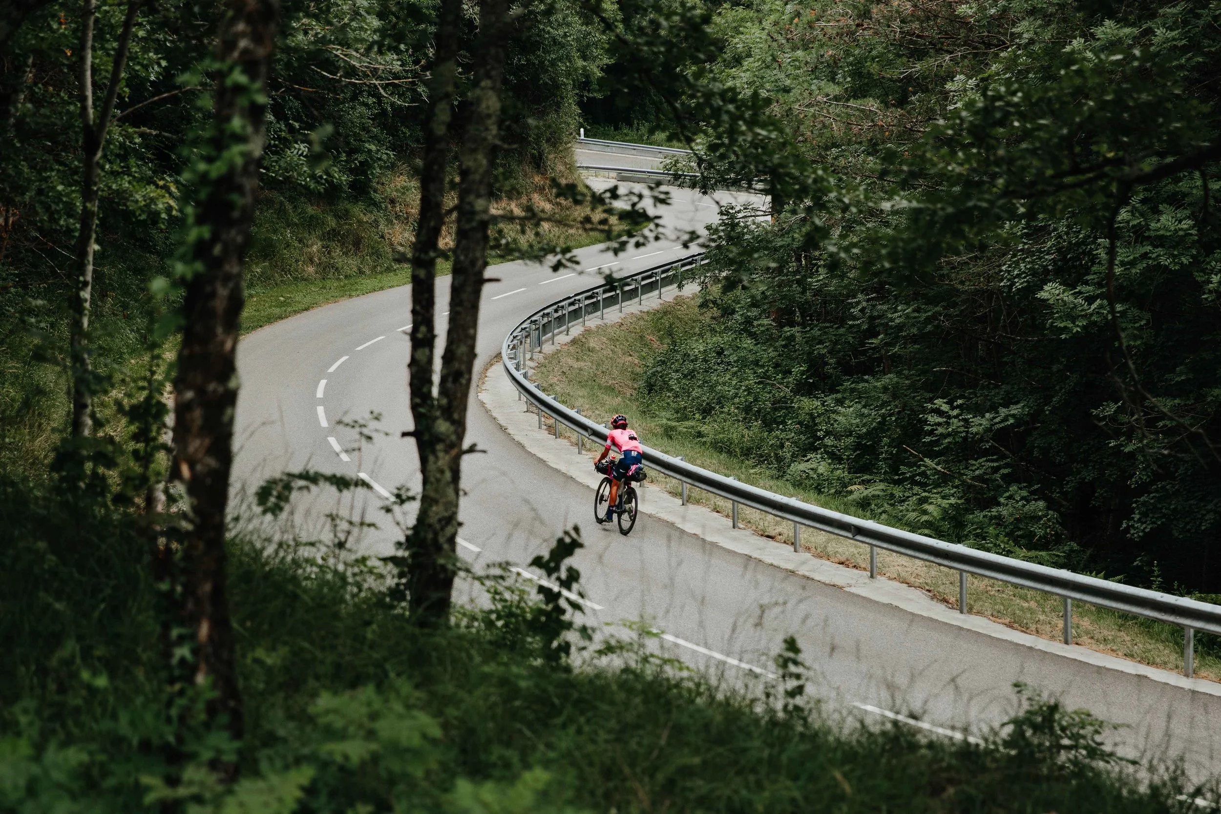 A cyclist riding on a winding road surrounded by dense green trees and vegetation.