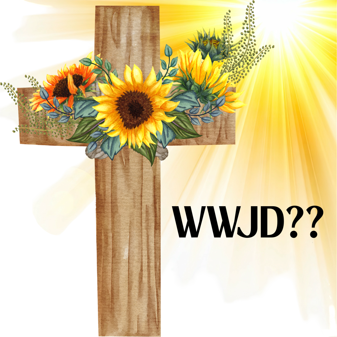 WWJD? (Hint: He would rest!)