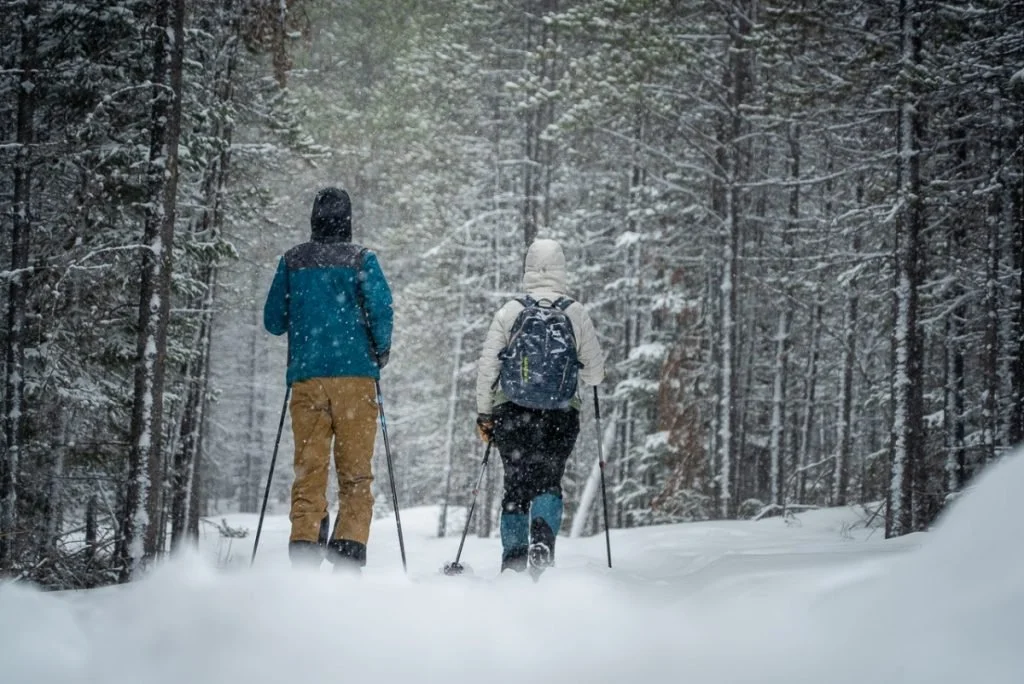Hiking in the Little Belt Mountains