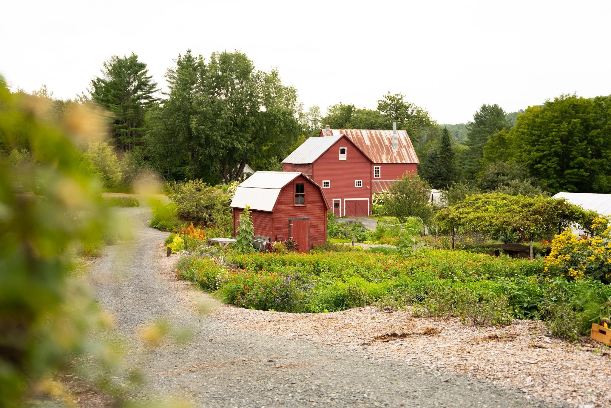A Culinary Tour Through Vermont
