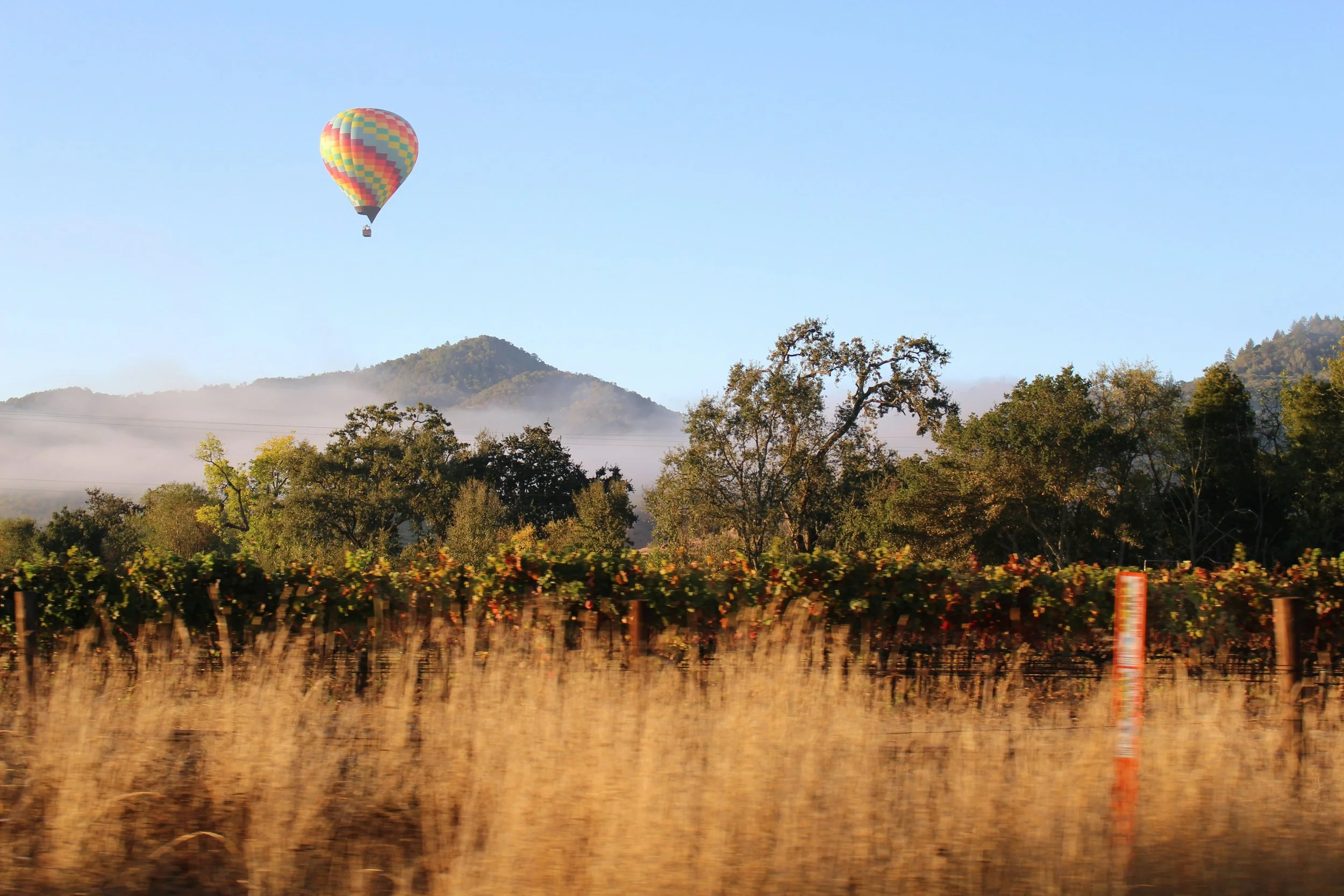 Napa Valley Beyond the Vineyard