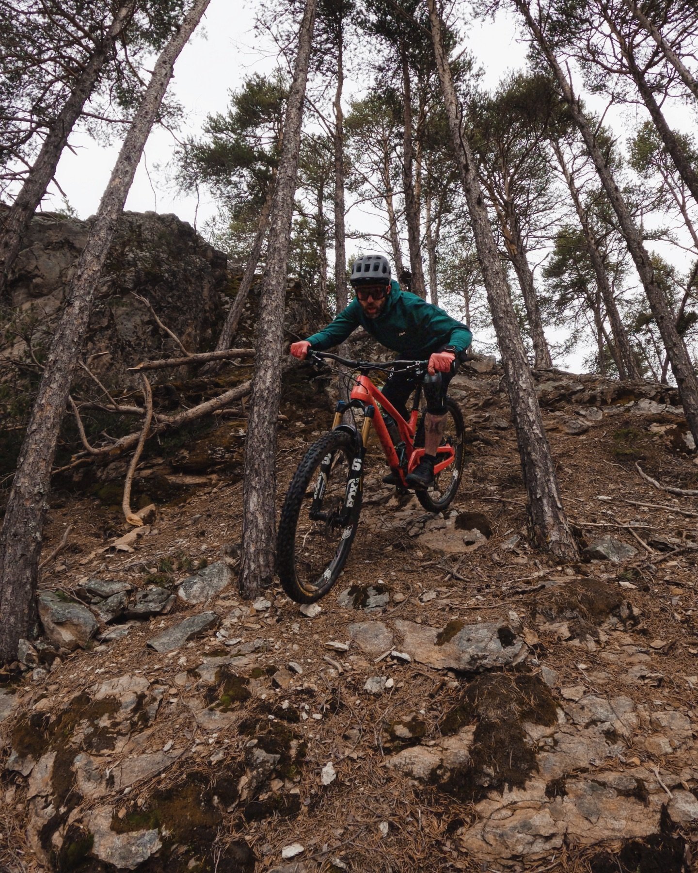 Passing trees like they&rsquo;re secret doorways to heaven. 🙌
&bull;&bull;&bull;
@evilbicycles #WreckoningV3
@pocsports 🪖🕶👕🩳🧤
@bikehub.ch 🔧⚙️
@weareonecomposites
&bull;&bull;&bull;
#liveoutdoors #makemoments #simplyadventure #welivetoexplore #