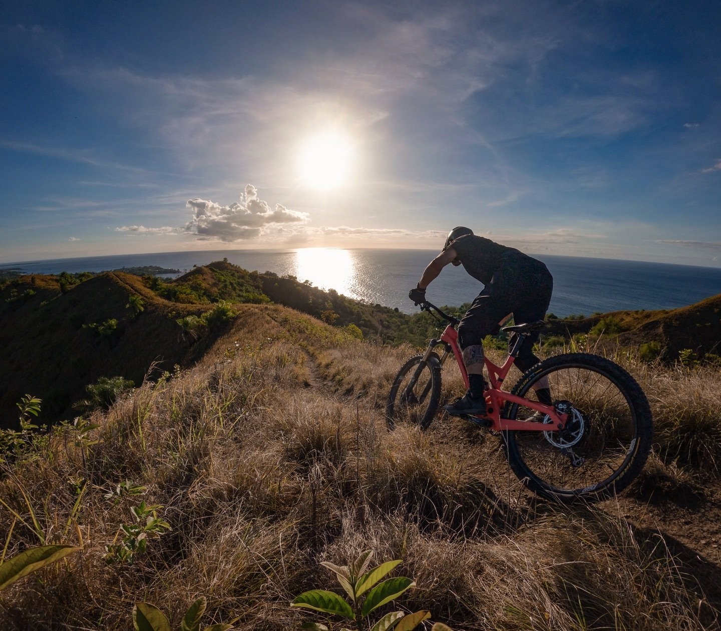 Back in Tobago. 🏝️
&bull;&bull;&bull;
@evilbicycles #WreckoningV3
@pocsports 🪖🕶👕🩳🧤
@bikehub.ch 🔧⚙️
@weareonecomposites
&bull;&bull;&bull;
#liveoutdoors #makemoments #simplyadventure #welivetoexplore #exploretocreate #visitswitzerland #mountain