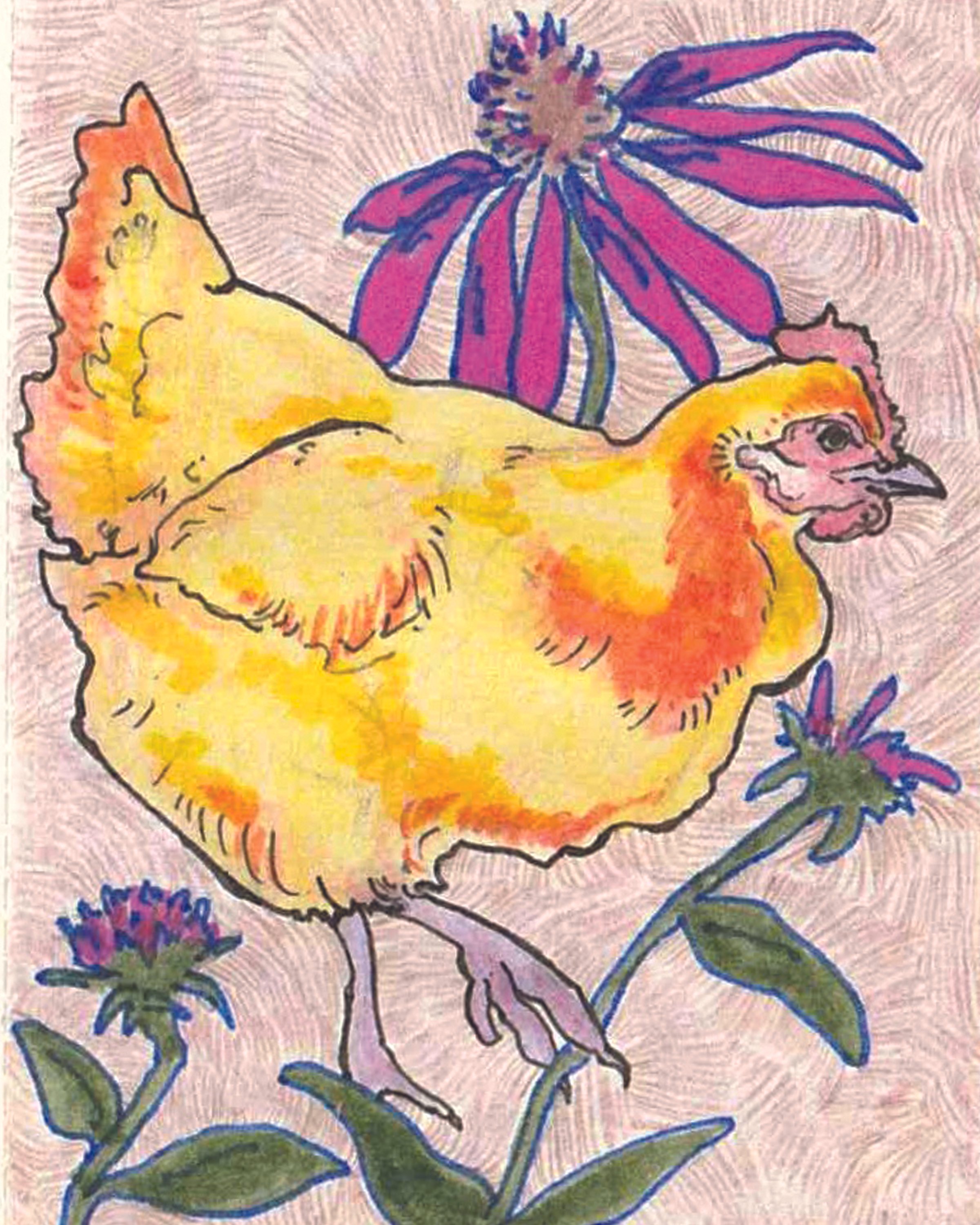 chick.jpg