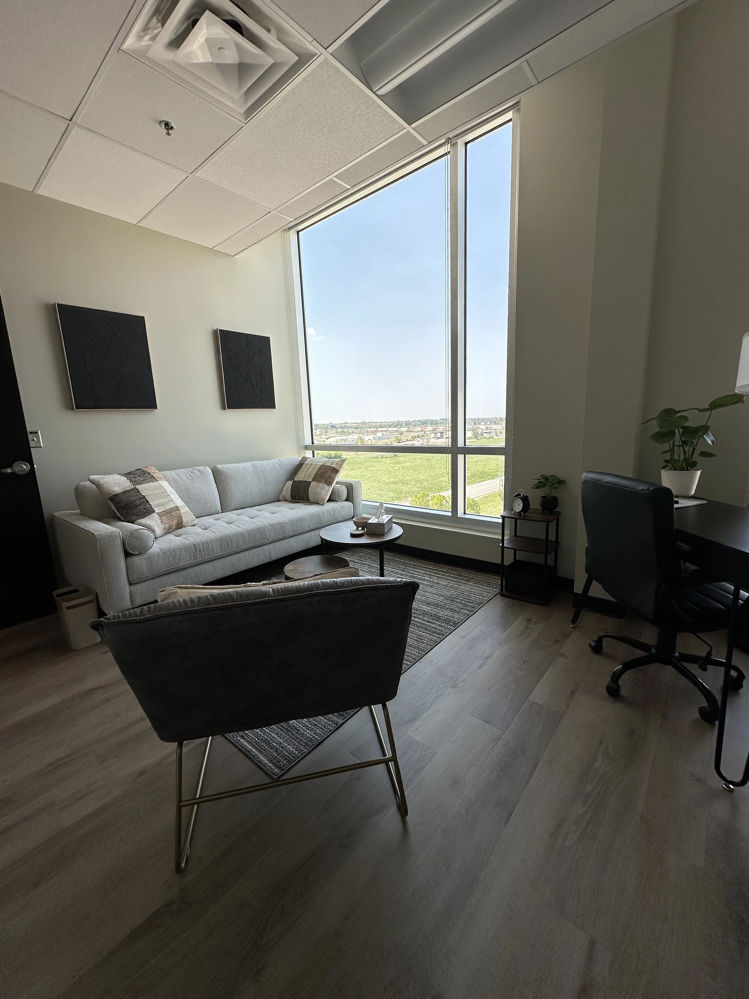 Office with large window overlooking green landscape, white sofa with pillows, black office chair, small tables, plants, and framed artwork on the wall.