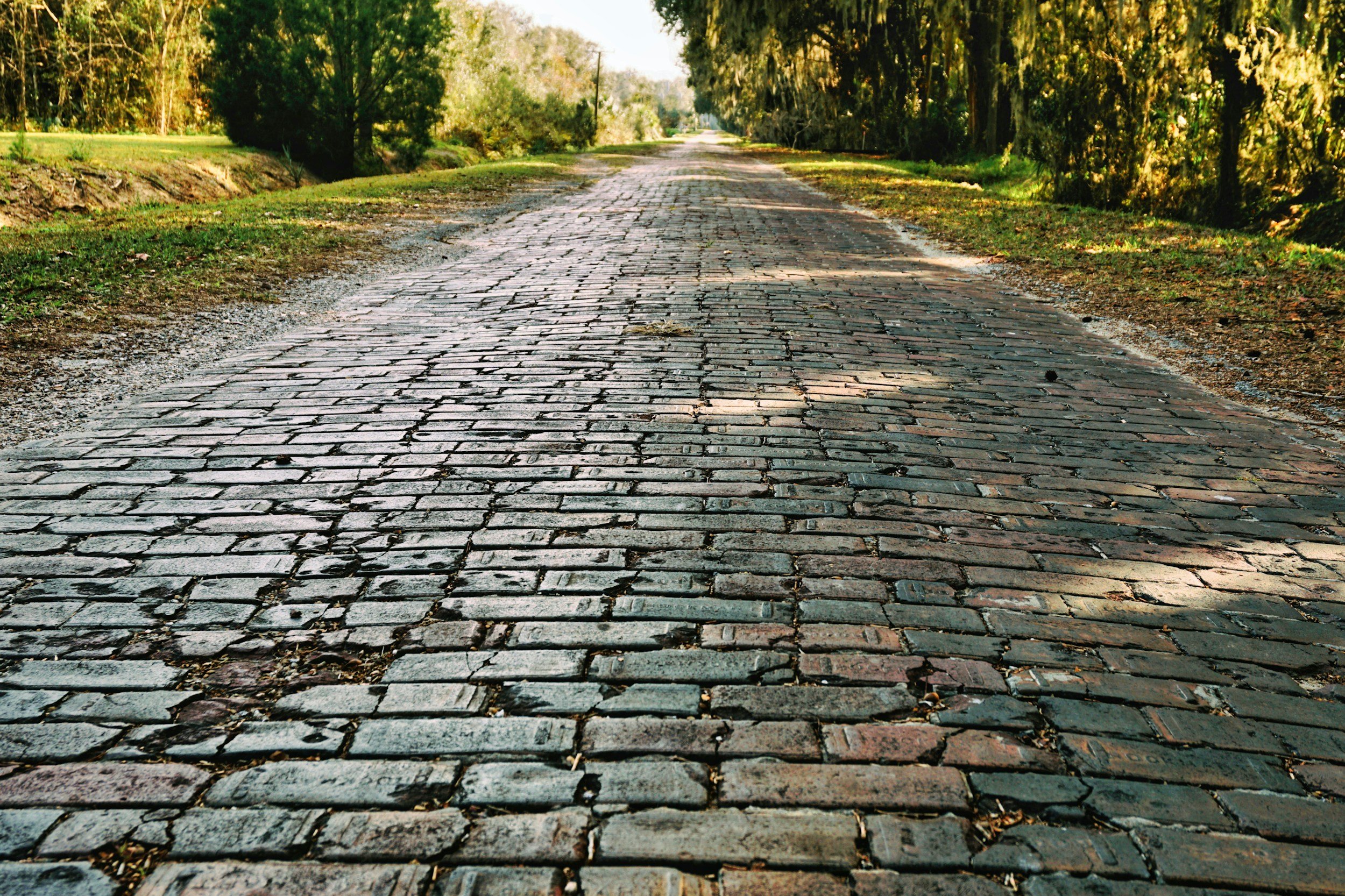 The Way