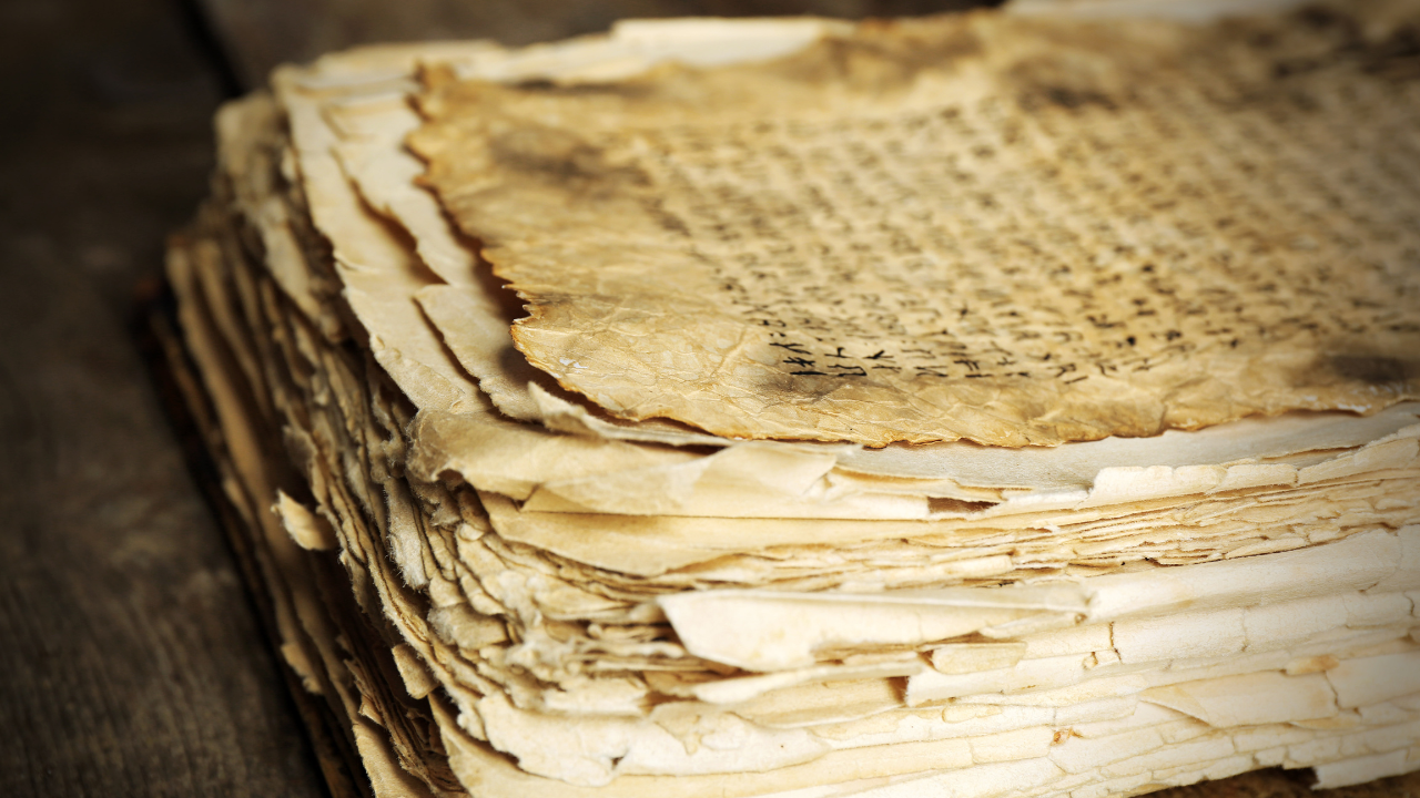 Bible transcripts