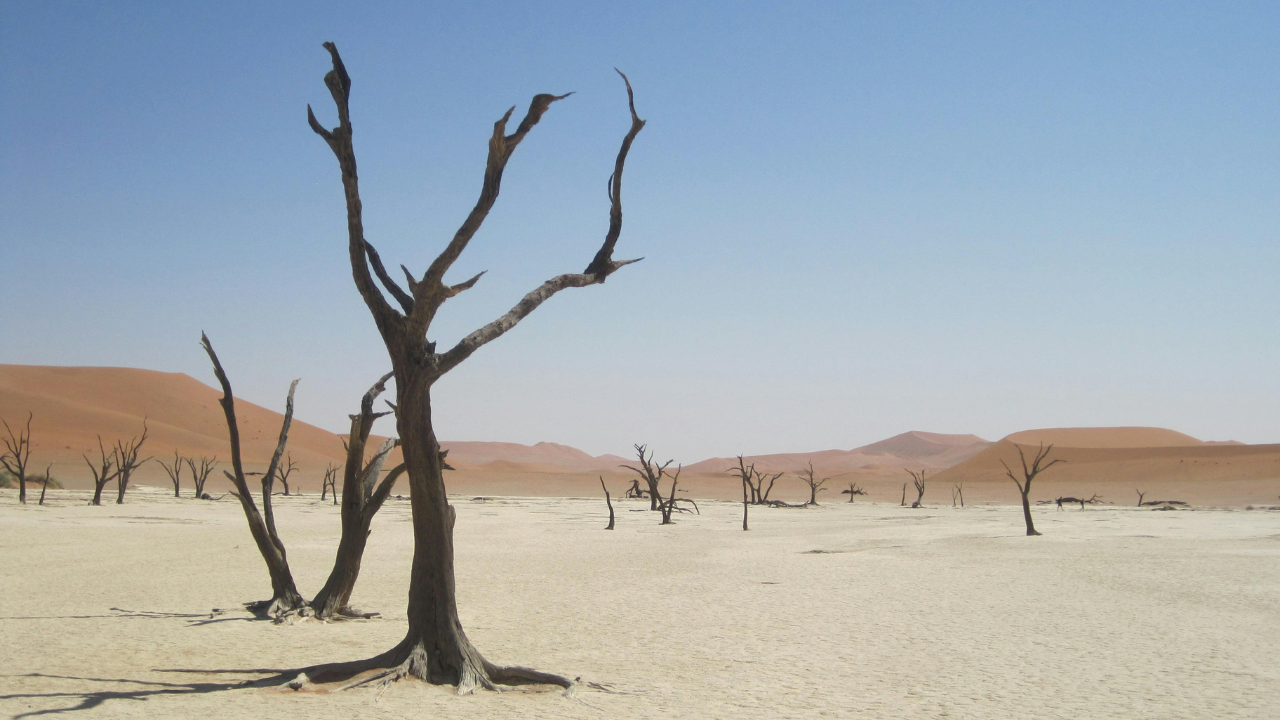 How Certainty About the Bible Became a Weapon and Why Humility Matters