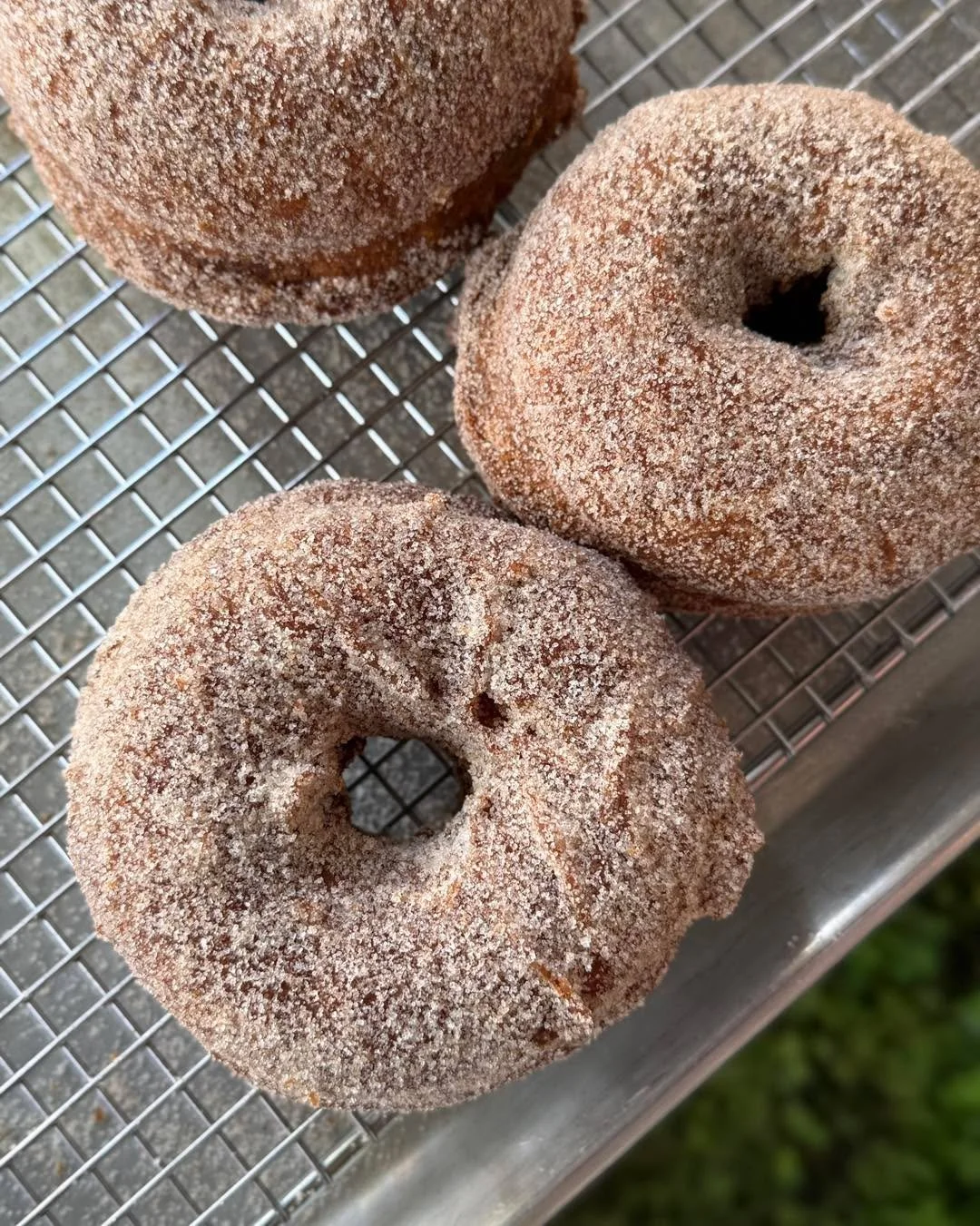 The kitchen smells like fall &mdash; warm cider, brown butter, caramel, and something fresh from the oven. 🍂

Apple cider donuts are back, alongside brown butter chocolate chip cookies, sticky pecan buns, and brioche donuts with pomegranate frosting