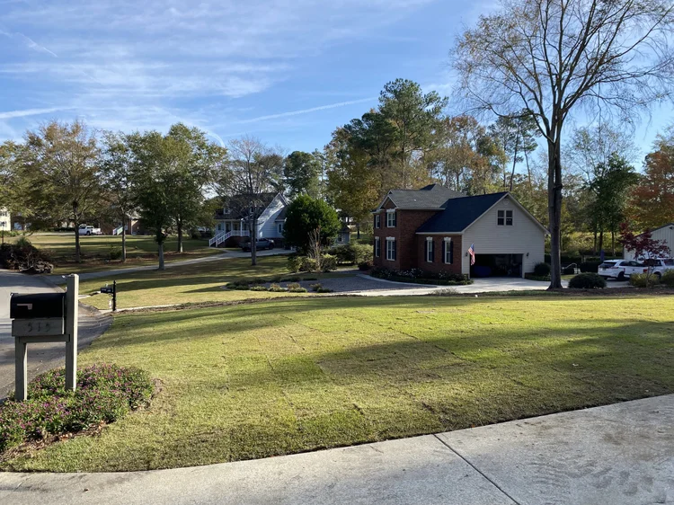 Healthy front yard of a home
