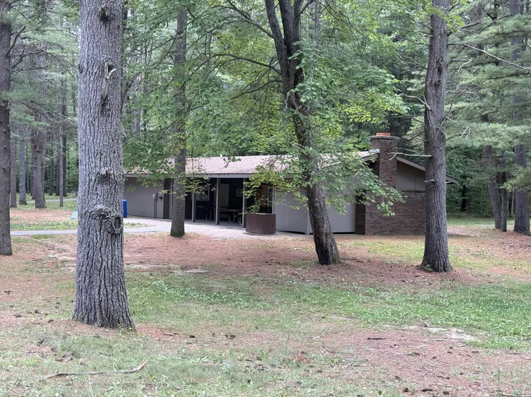 Day Use Shelter at Hartwick Pines