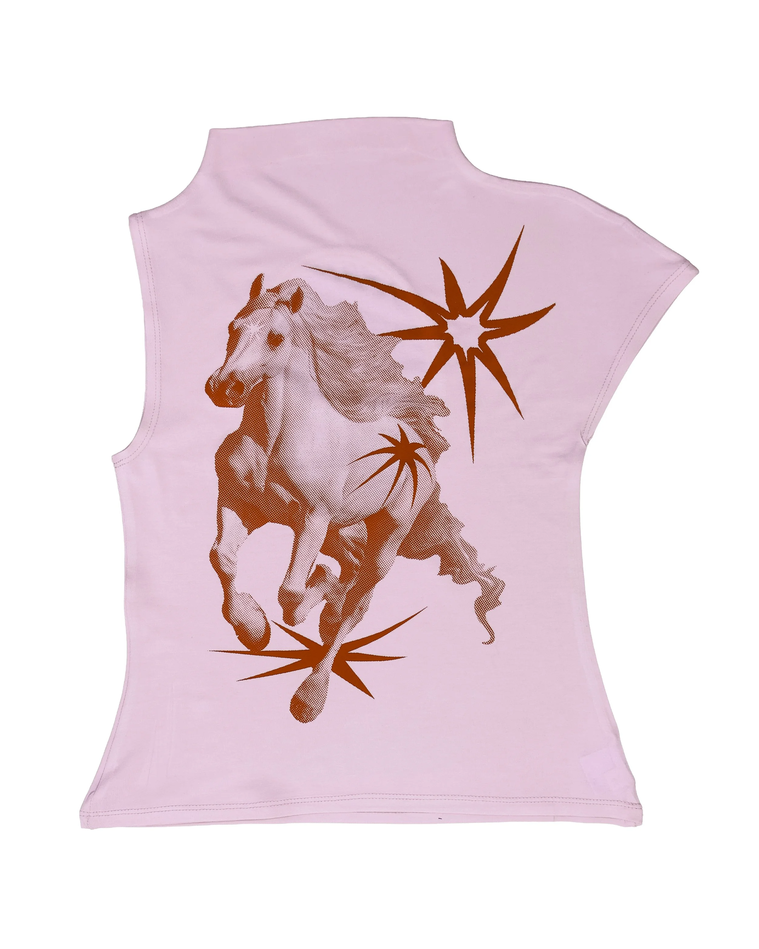 Pegaus pink top 2026-front.jpg