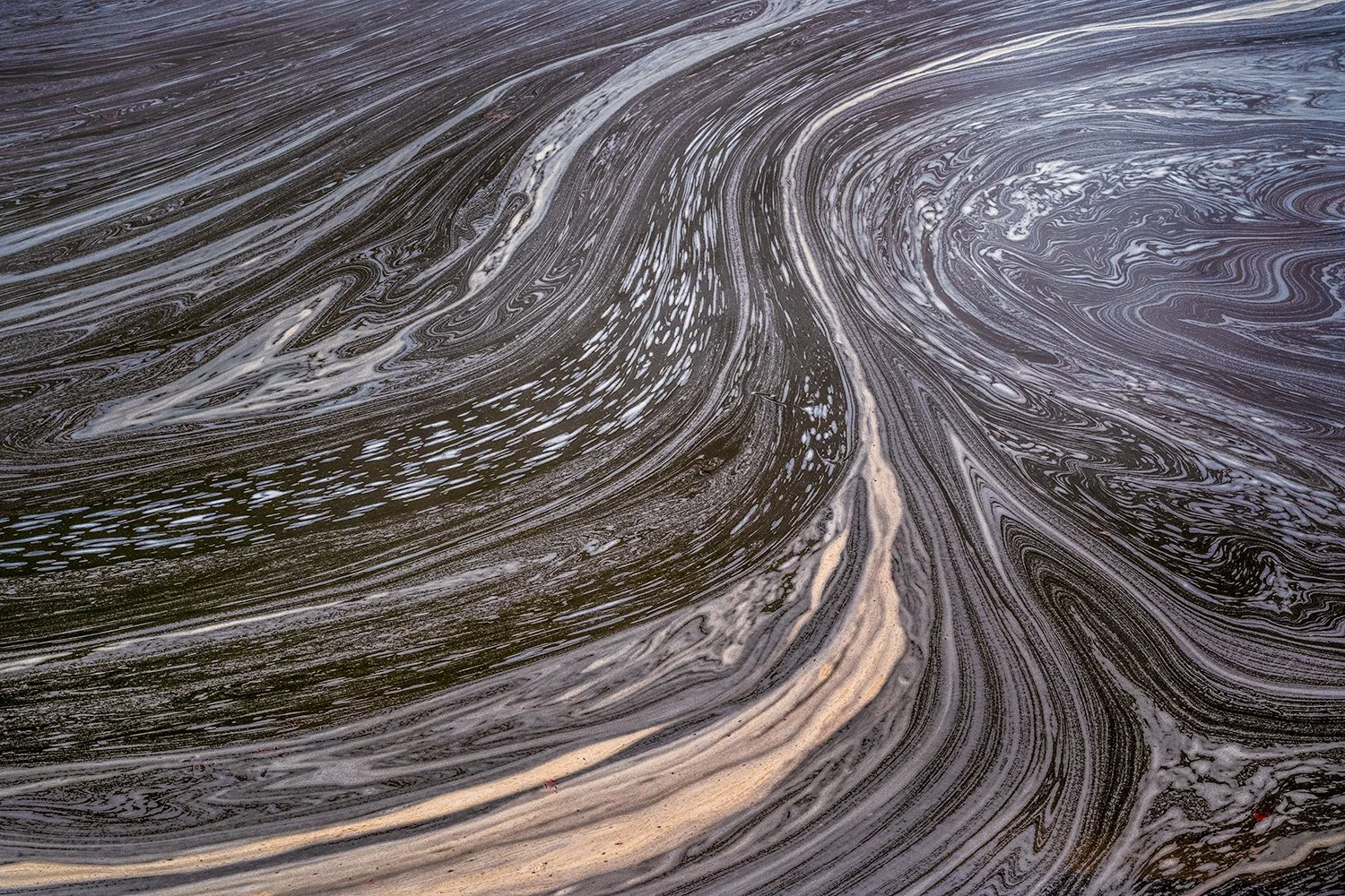 Foam Patterns - Potomac River