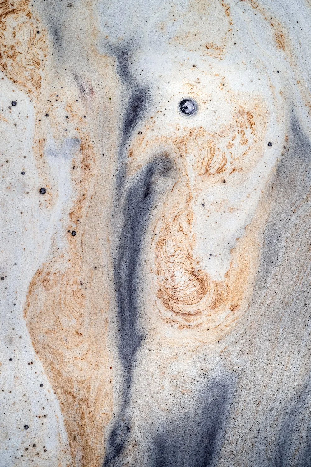 Foam Patterns - Potomac River