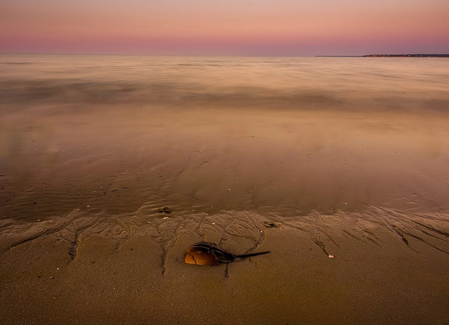 Craigville Beach, Cape Cod, MA