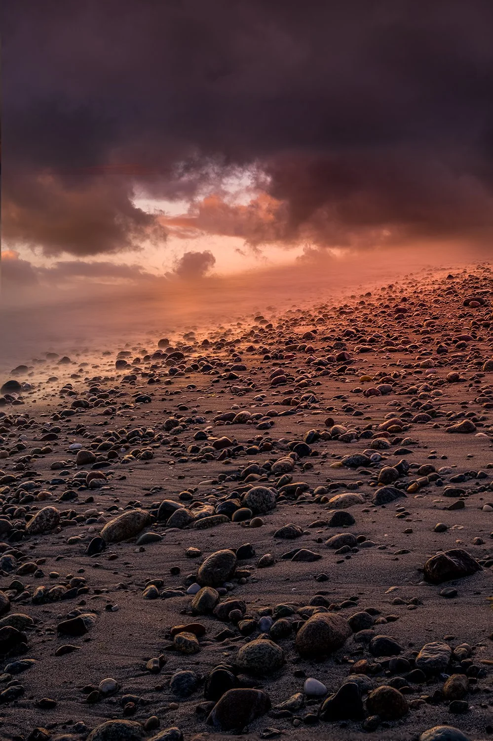 Sandy Neck Beach, Barnstable, MA