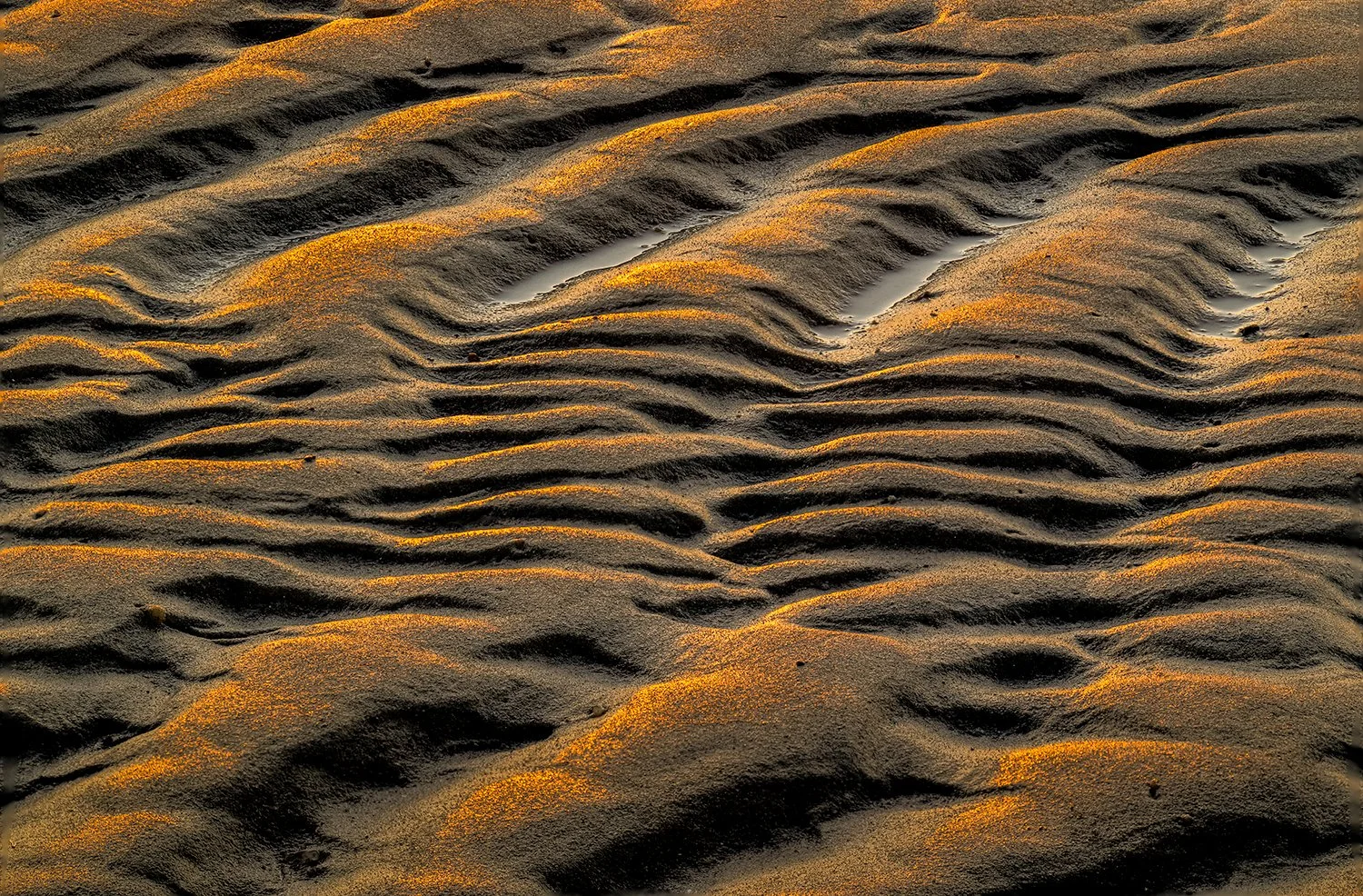 Sandy Neck Beach, Cape Cod, MA