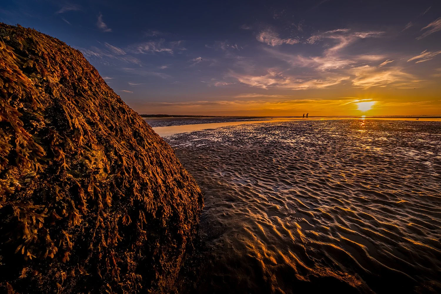 Skaket Beach, Cape Cod, MA