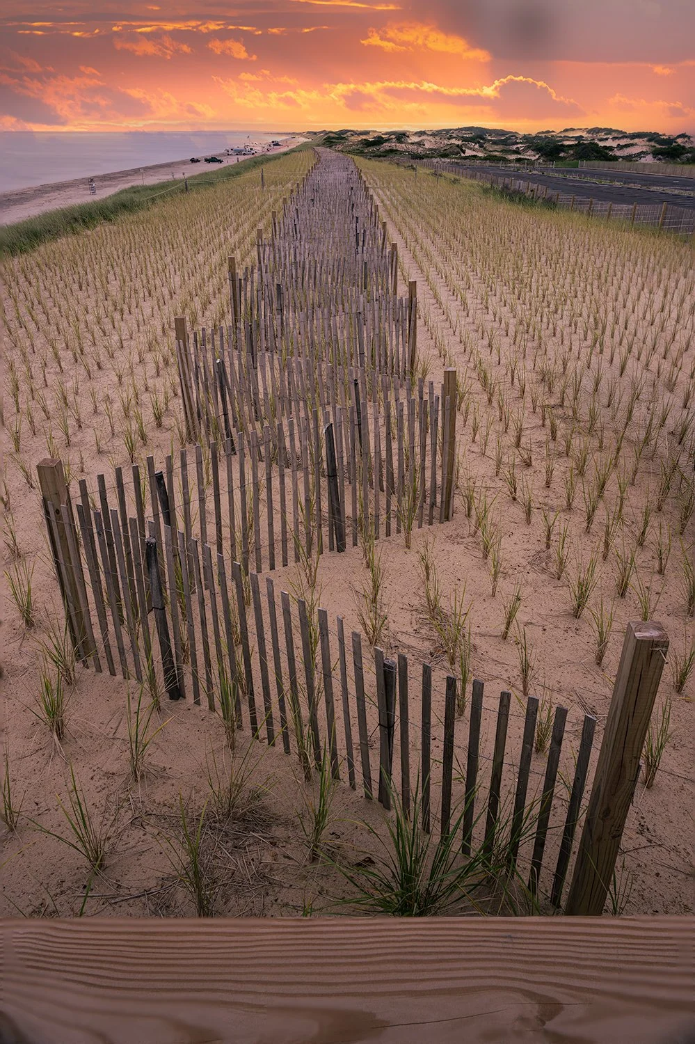 Sandy Neck Beach, Barnstable, MA