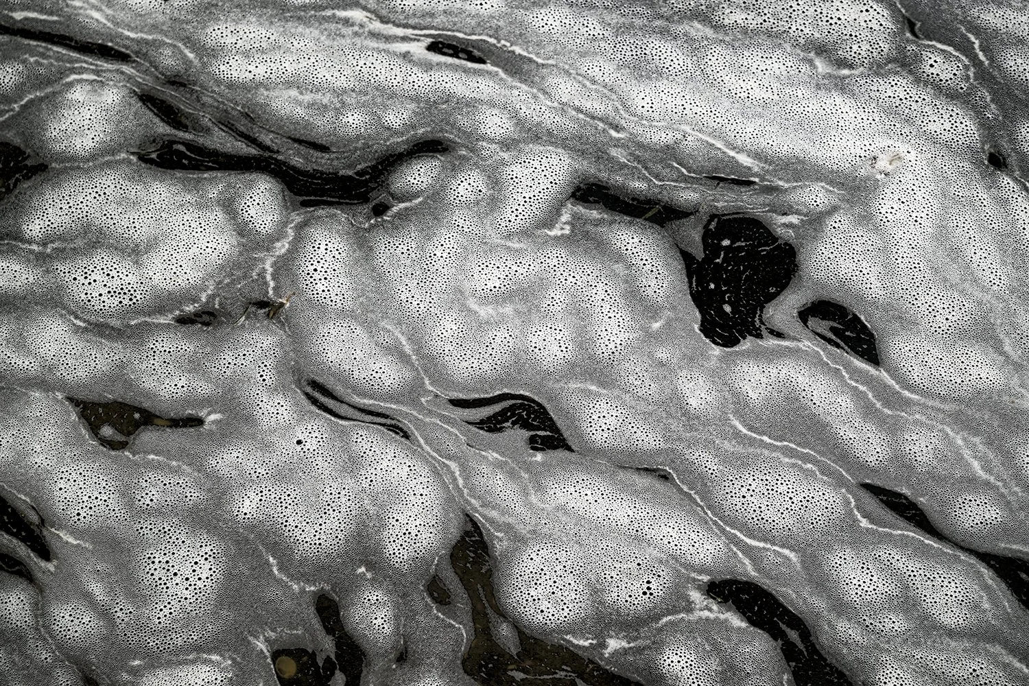 Foam Patterns - Potomac River