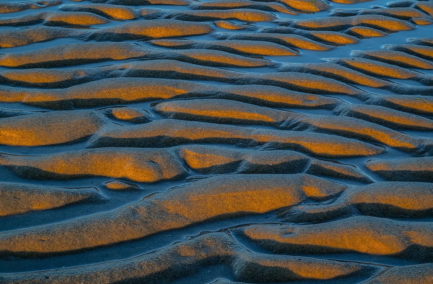 Sandy Neck Beach, Cape Cod, MA